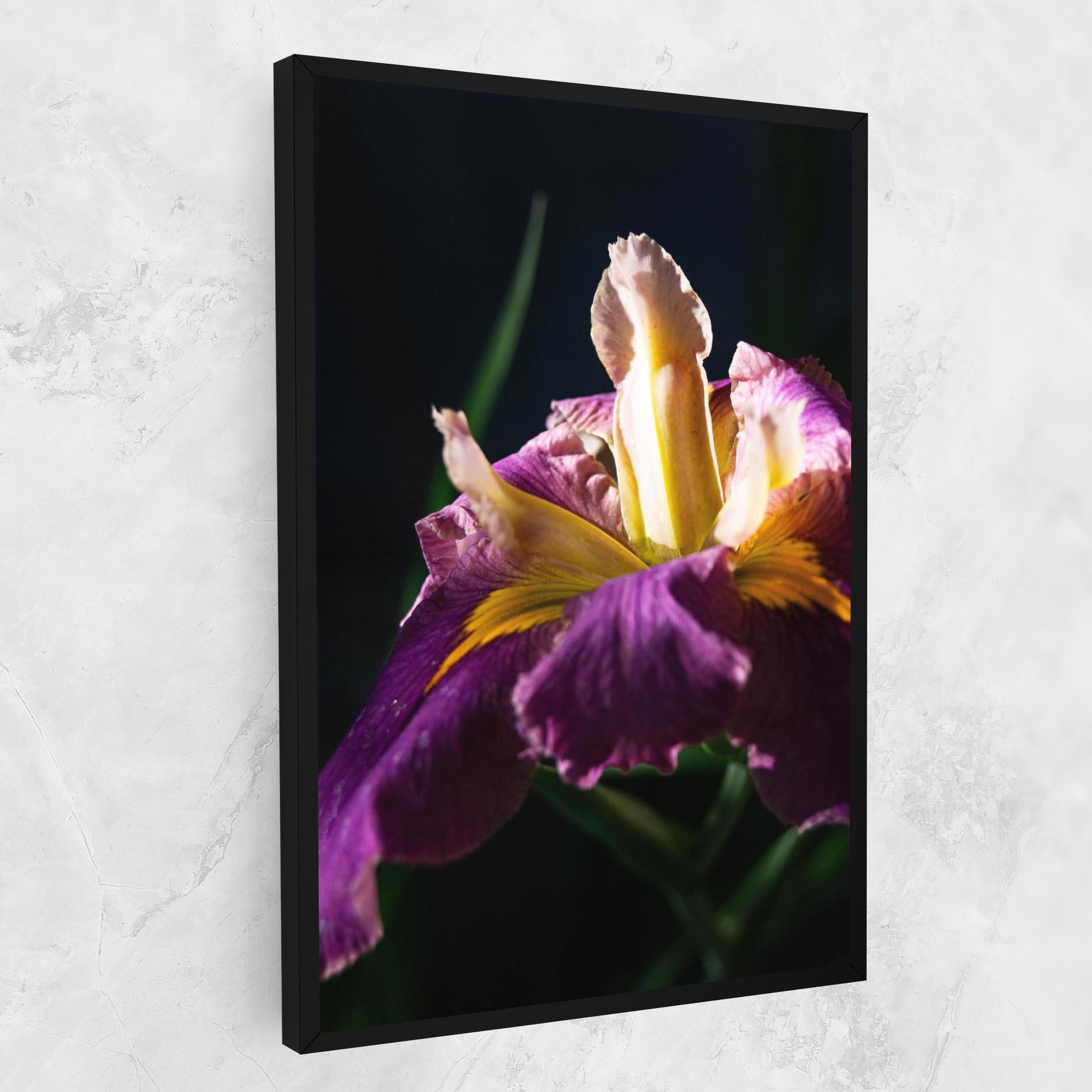 Leinwandbild Pastel Yellow Iris mockup 1