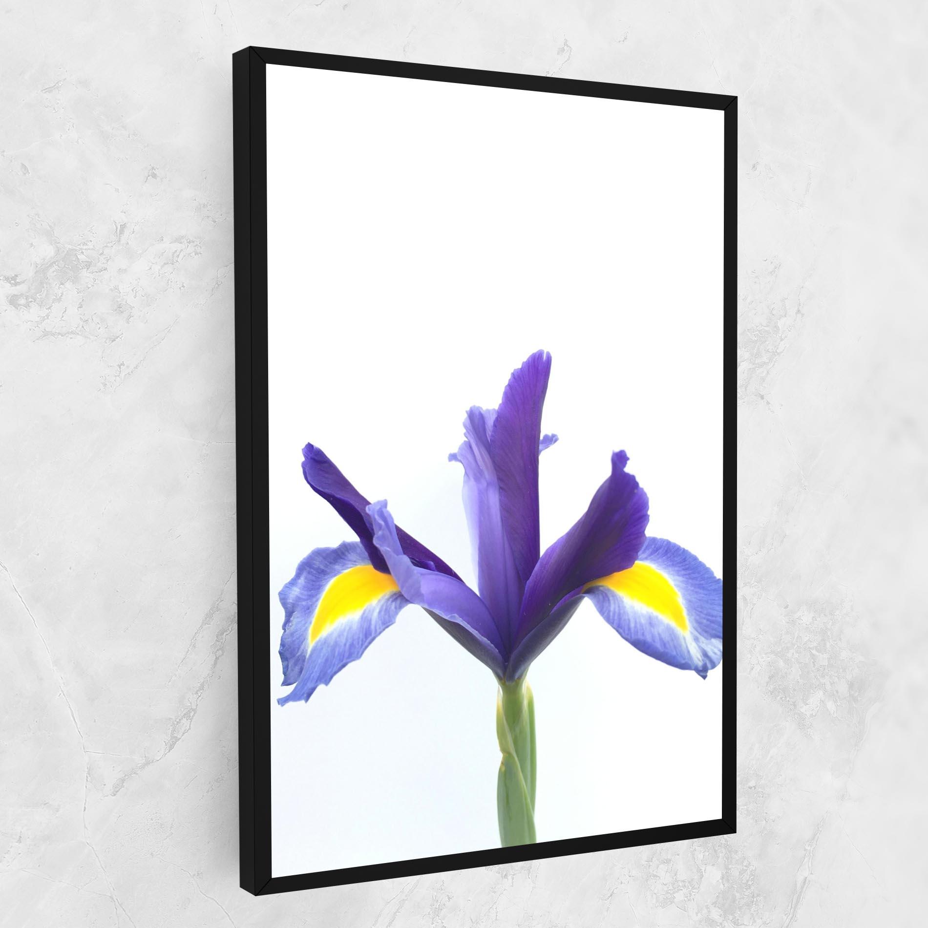 Leinwandbild Yellow Color Iris mockup 1