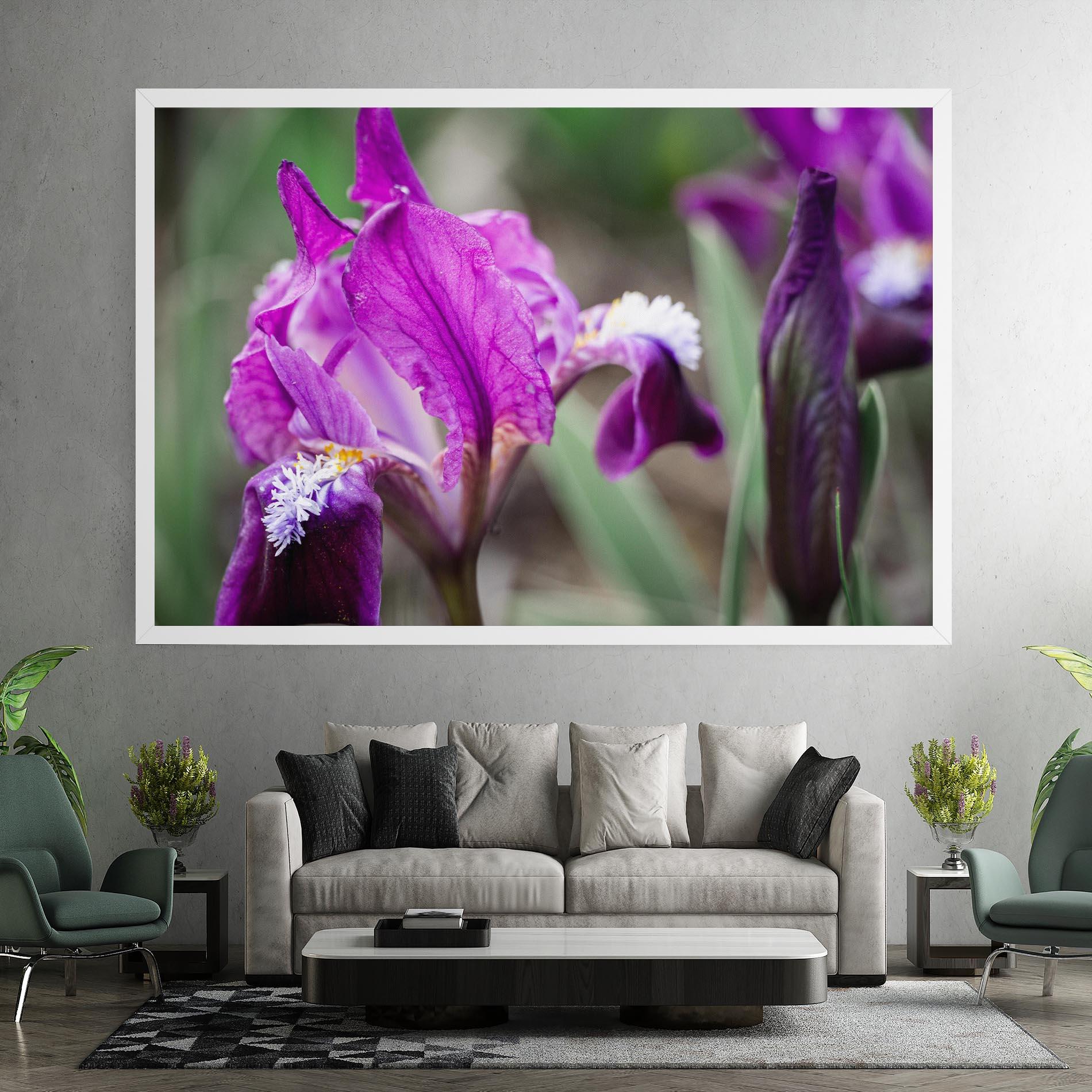 Leinwandbild Dark Pink Iris mockup 7