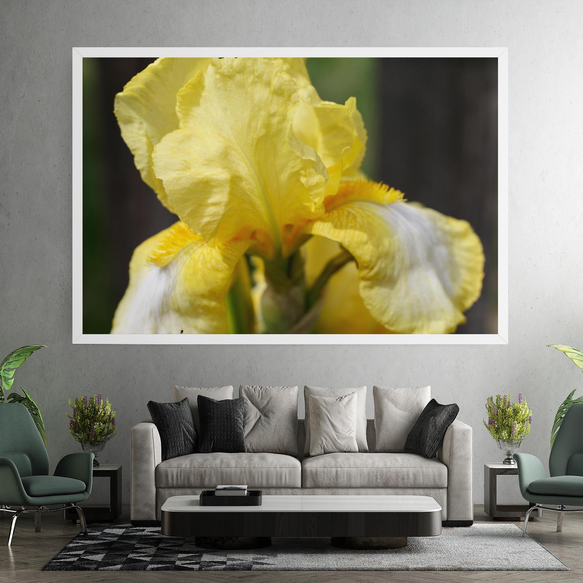 Leinwandbild Garden Yellow Iris mockup 7