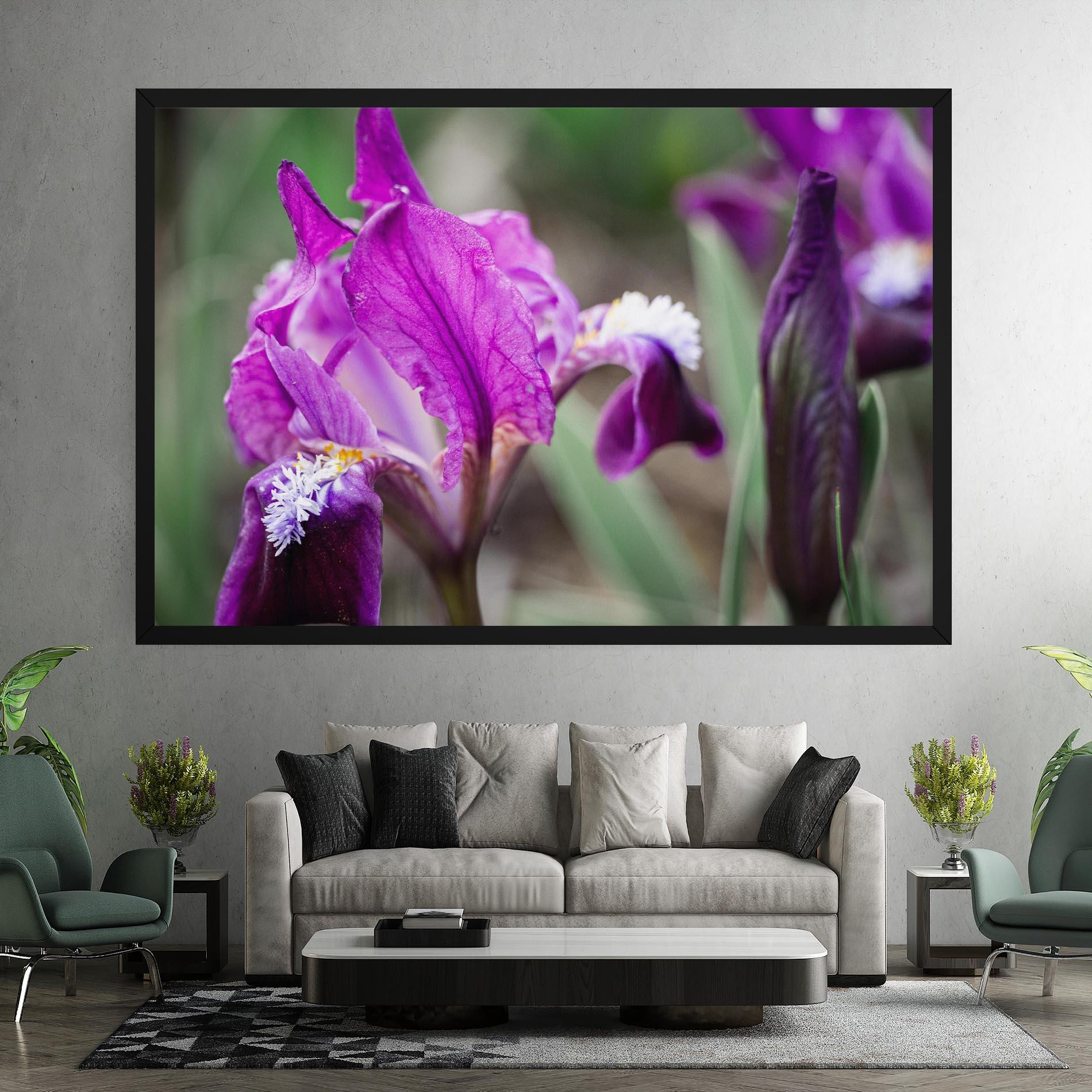 Leinwandbild Dark Pink Iris mockup 7