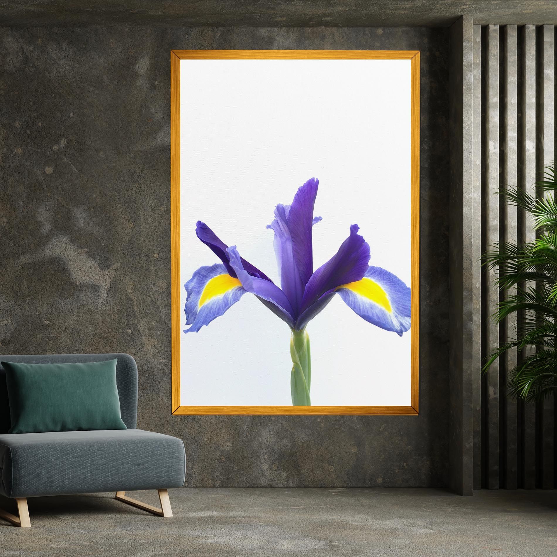 Yellow Color Iris mockup 7