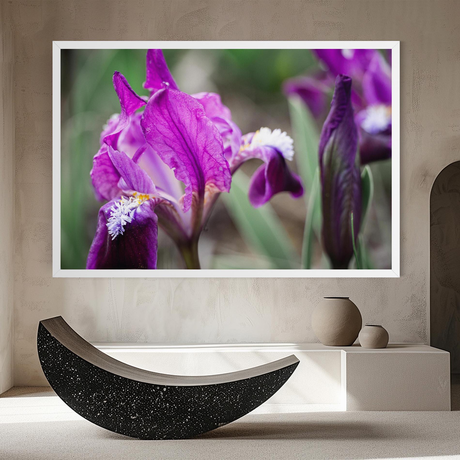 Leinwandbild Dark Pink Iris mockup 8