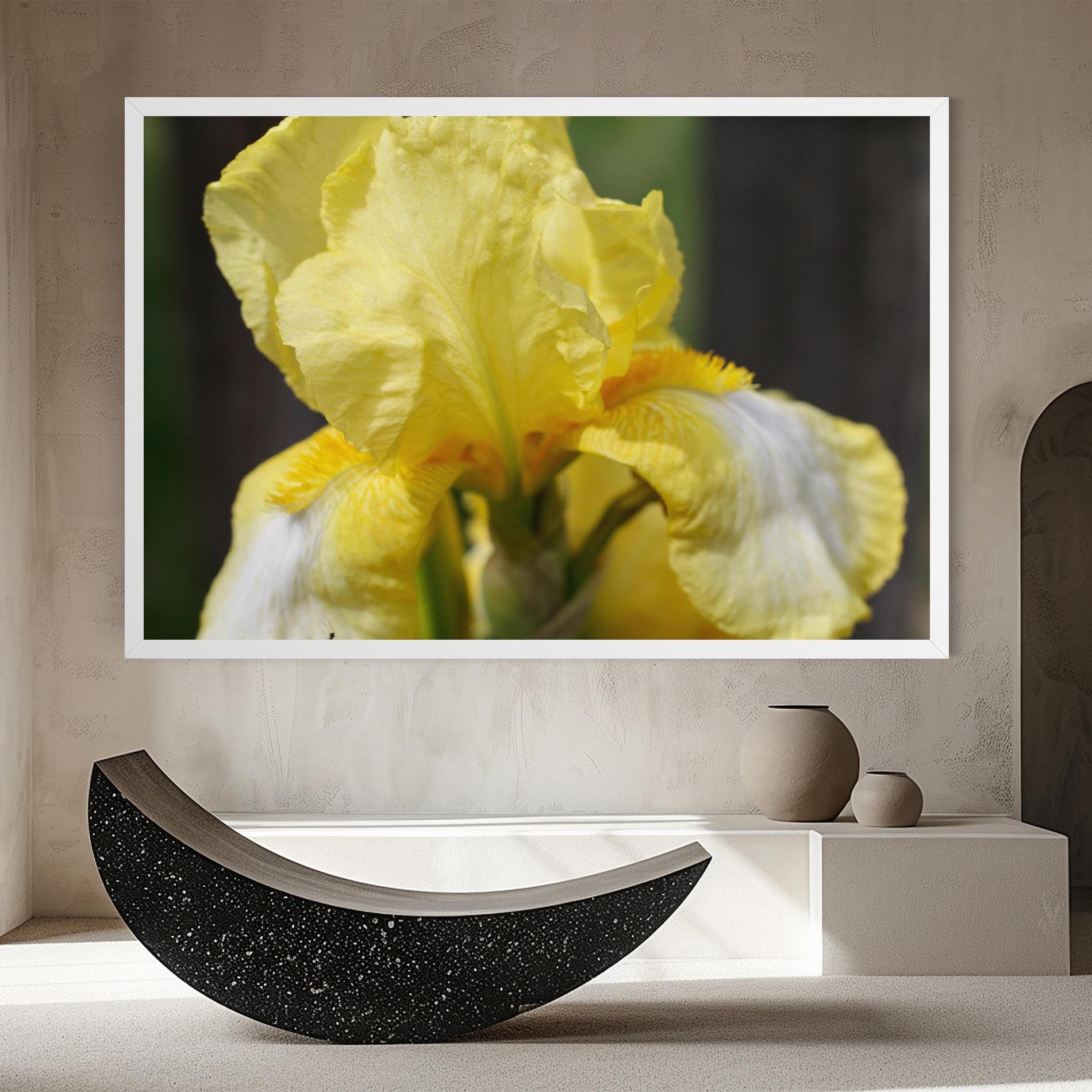 Garden Yellow Iris mockup 8