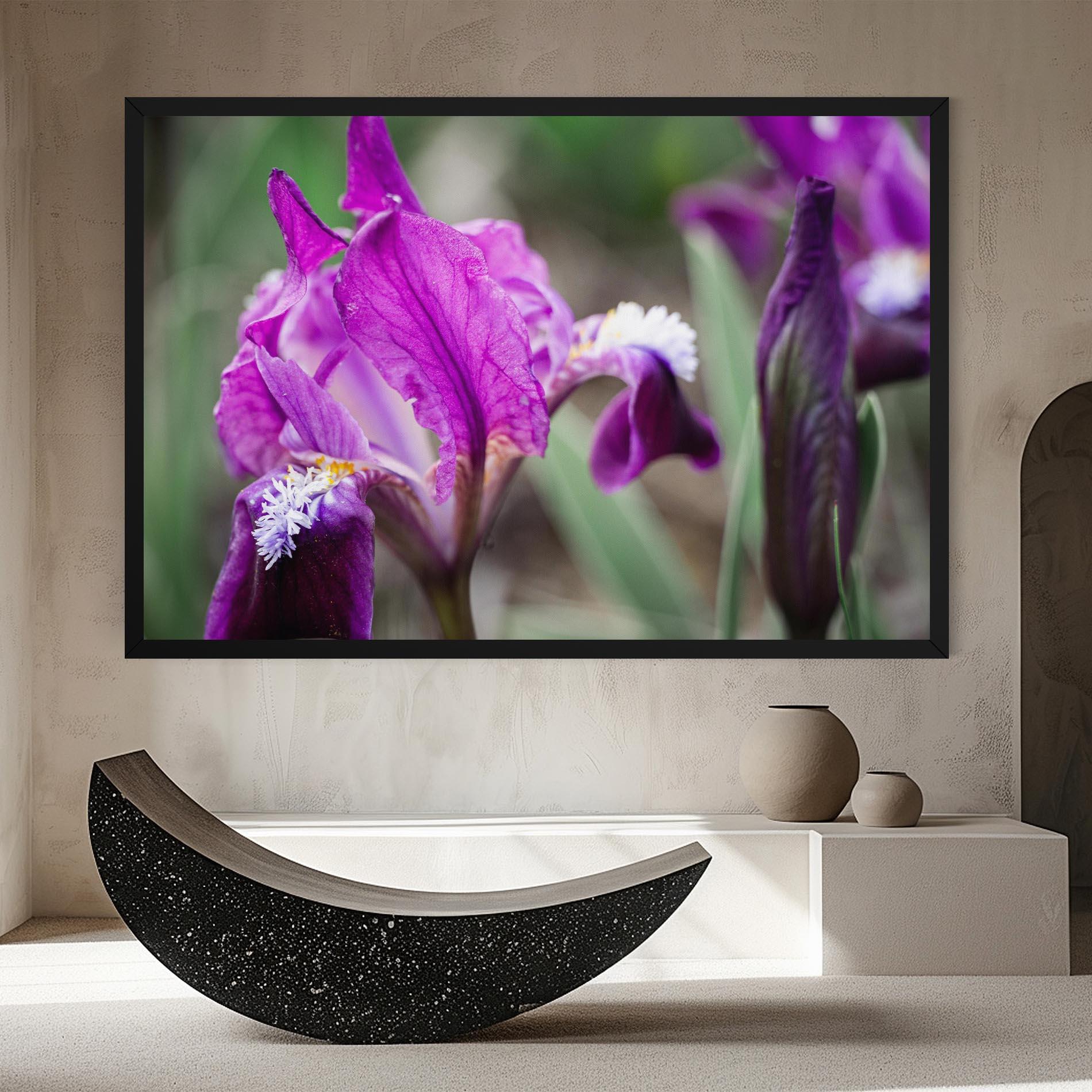 Leinwandbild Dark Pink Iris mockup 8