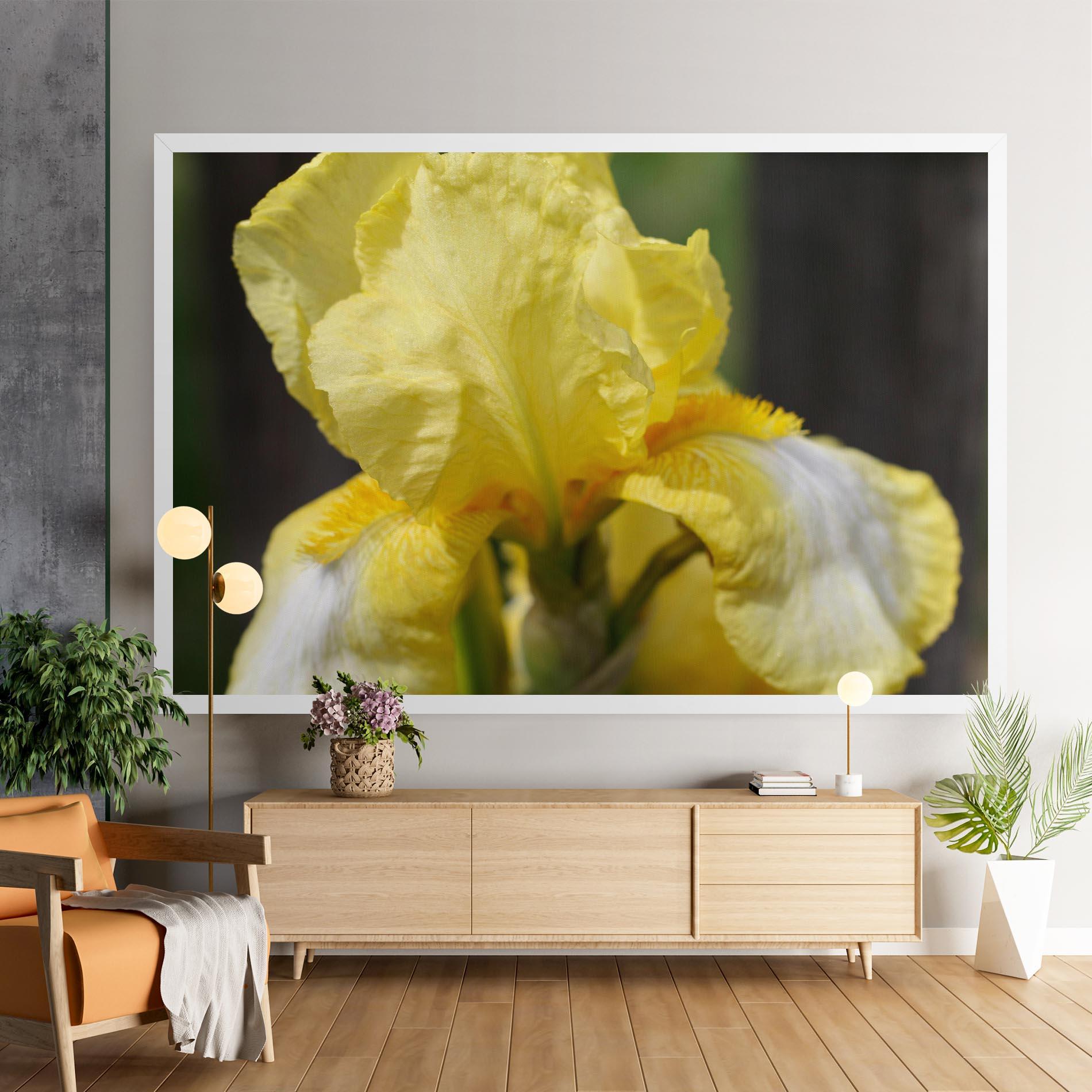 Leinwandbild Garden Yellow Iris mockup 9