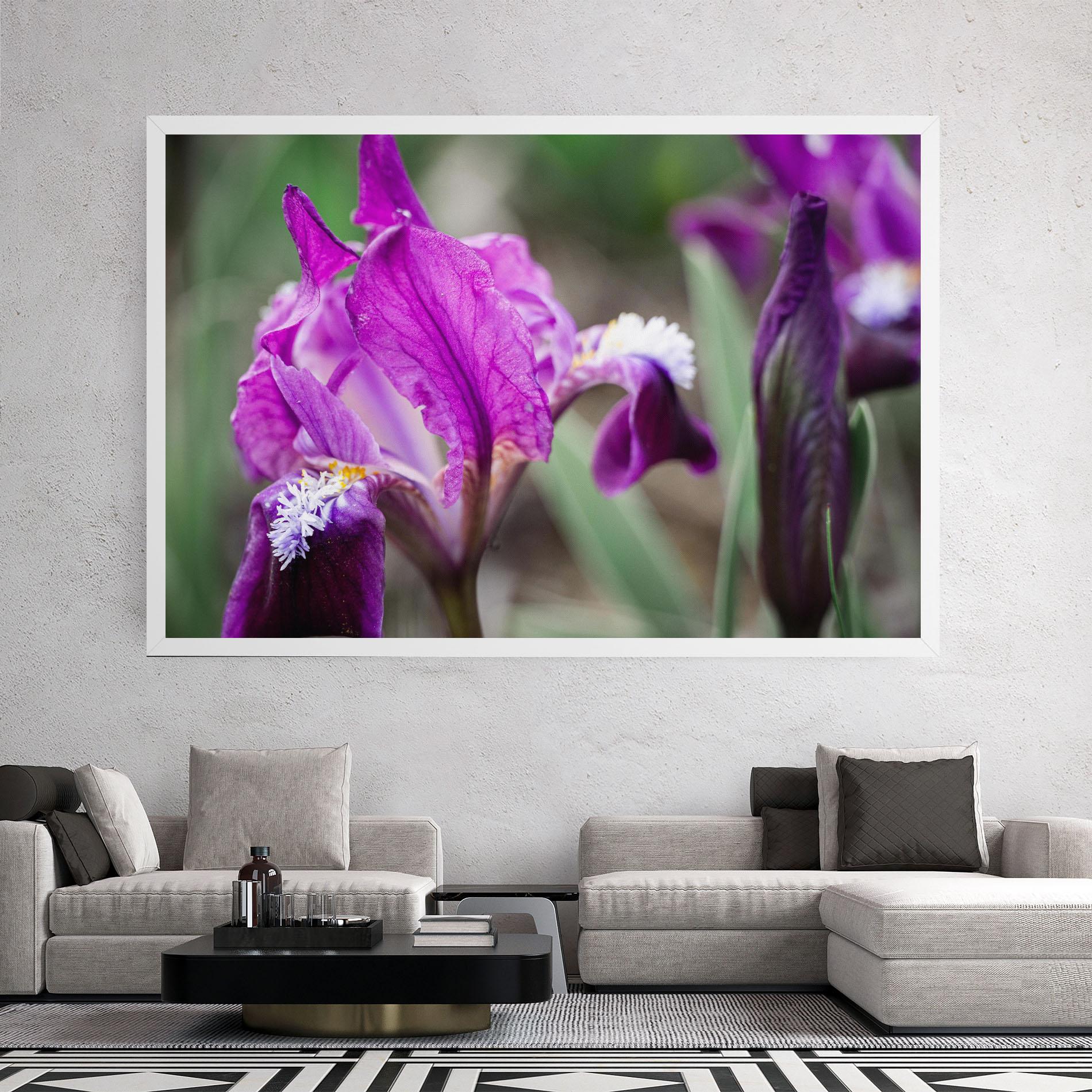 Leinwandbild Dark Pink Iris mockup 2