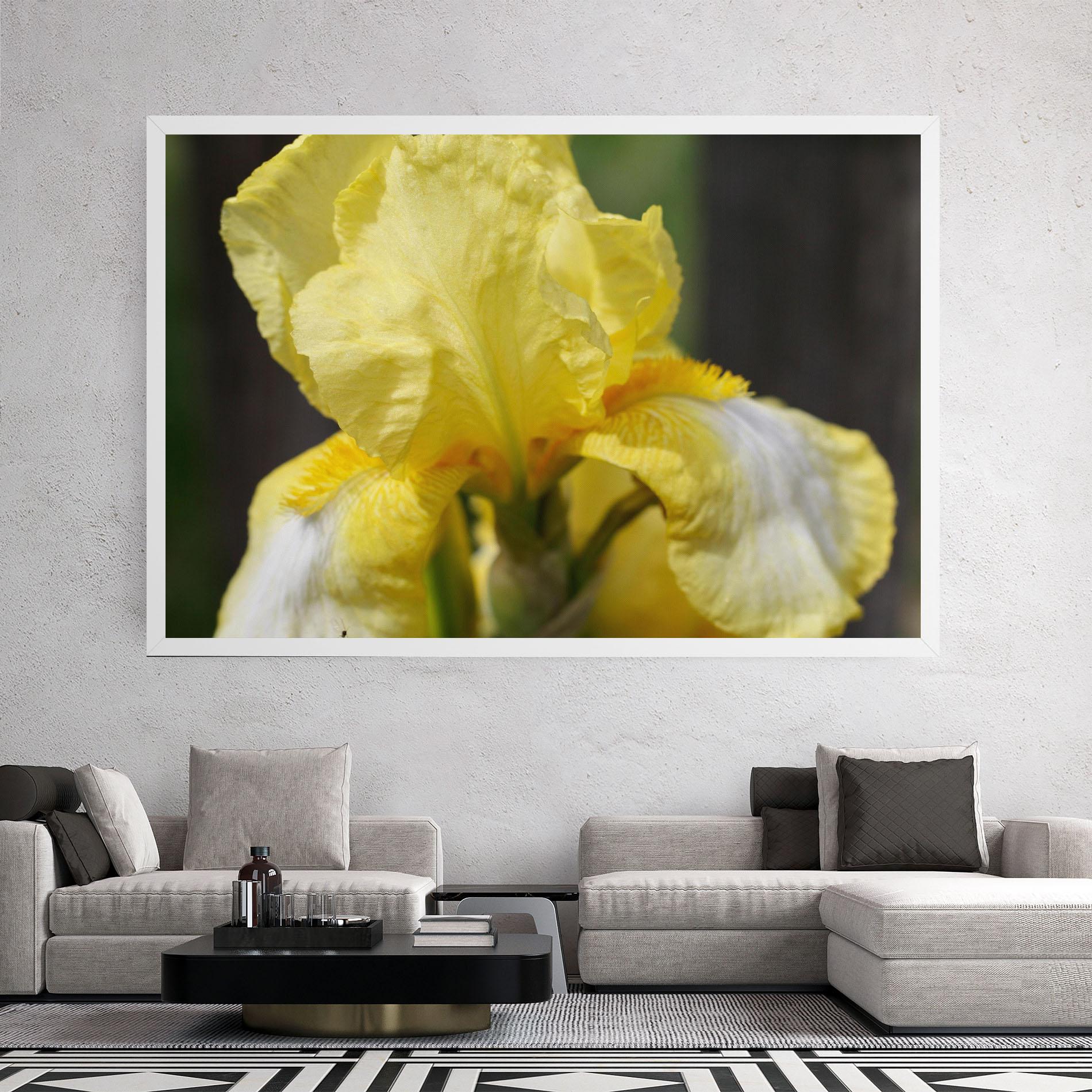 Leinwandbild Garden Yellow Iris mockup 2