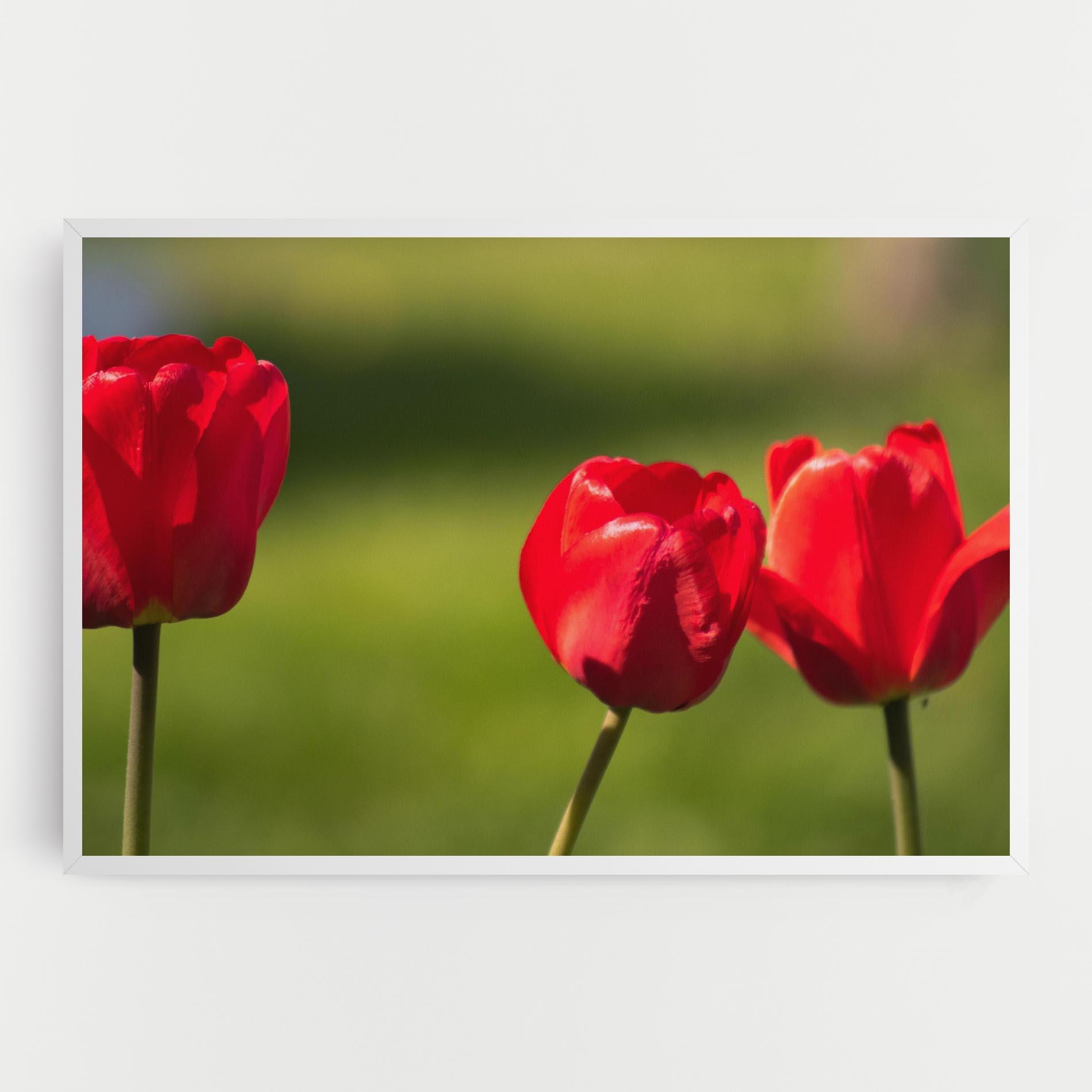 Leinwandbild 3 Red Tulips mockup 0
