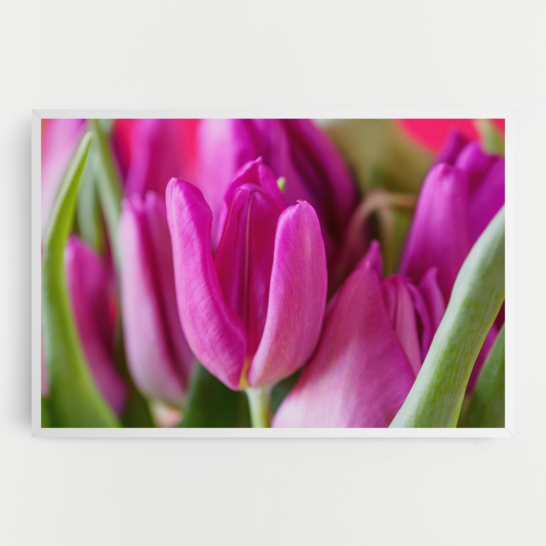 Leinwandbild Purple Tulip Close Up mockup 0