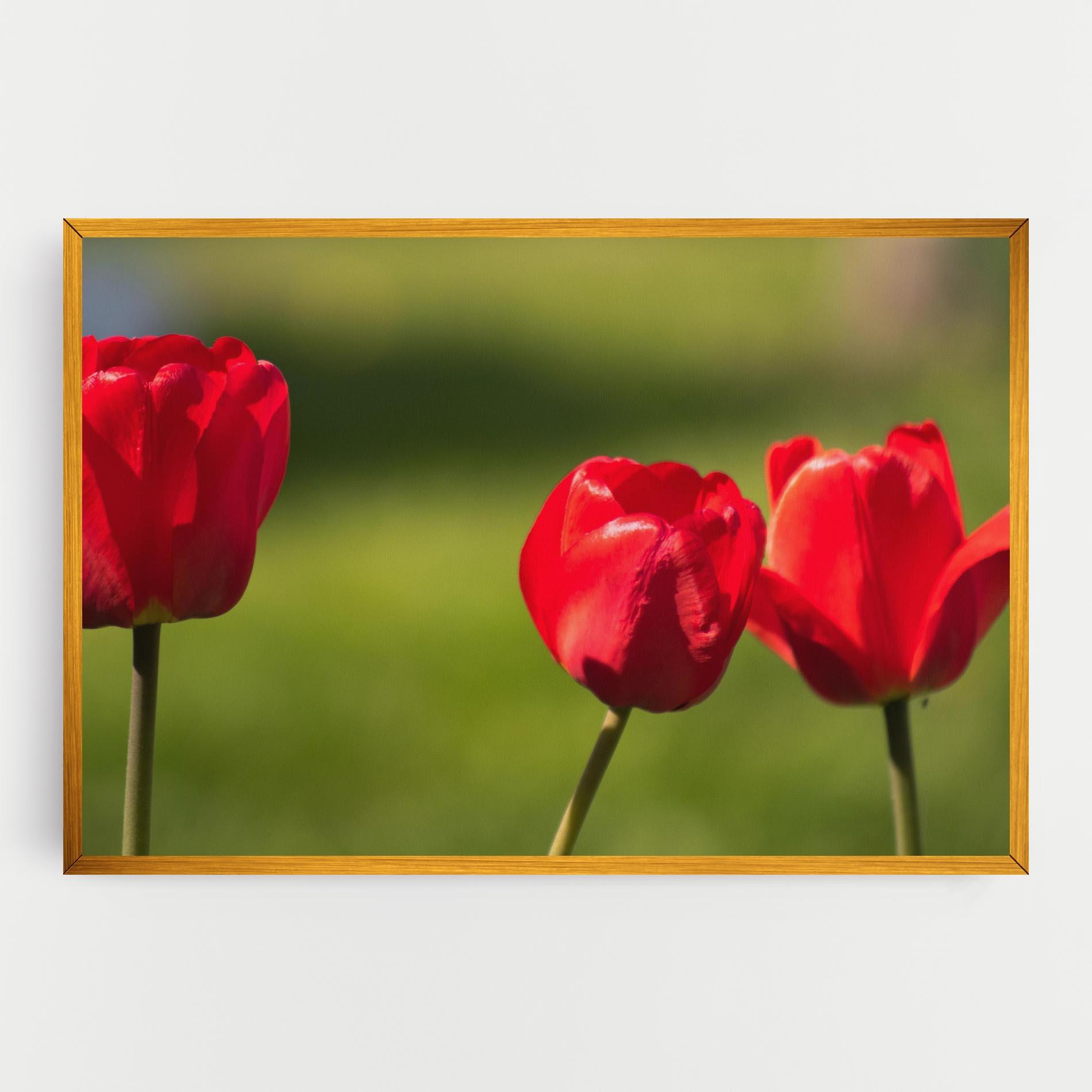 Leinwandbild 3 Red Tulips mockup 0