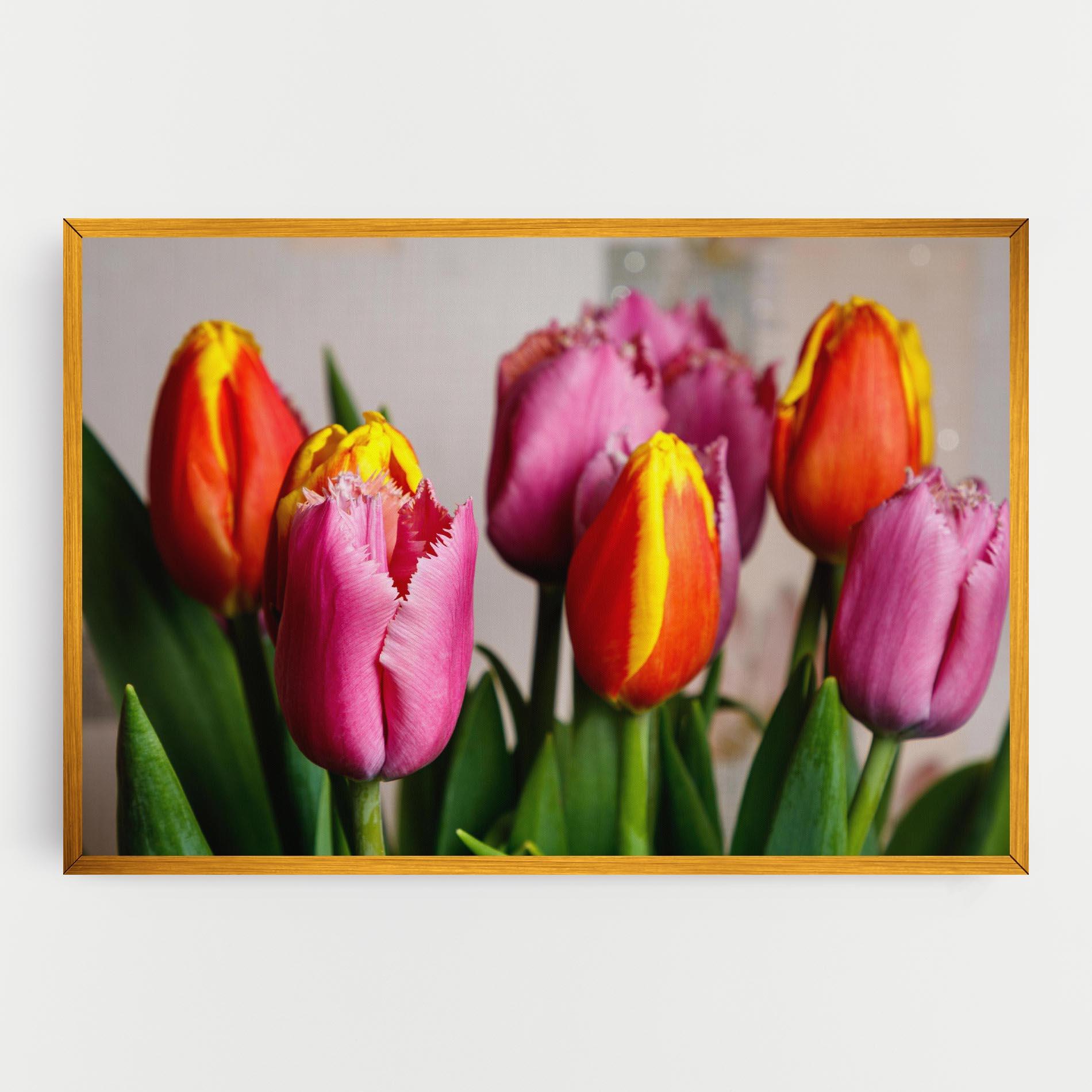 Leinwandbild Pink Orange Tulips mockup 0