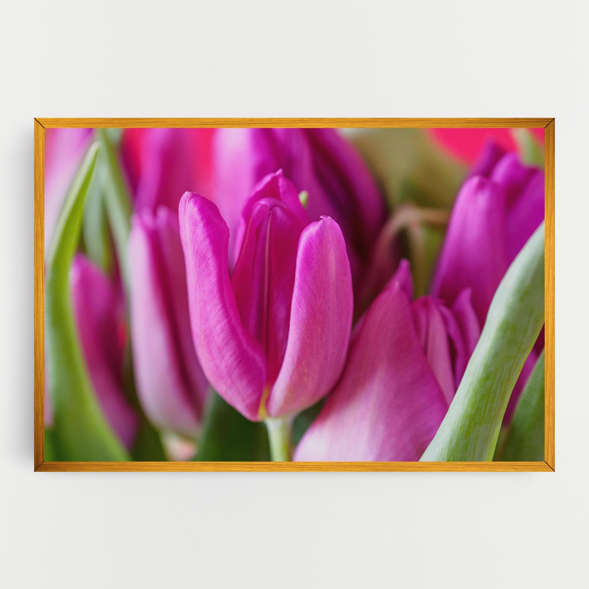 Leinwandbild Purple Tulip Close Up mockup 0