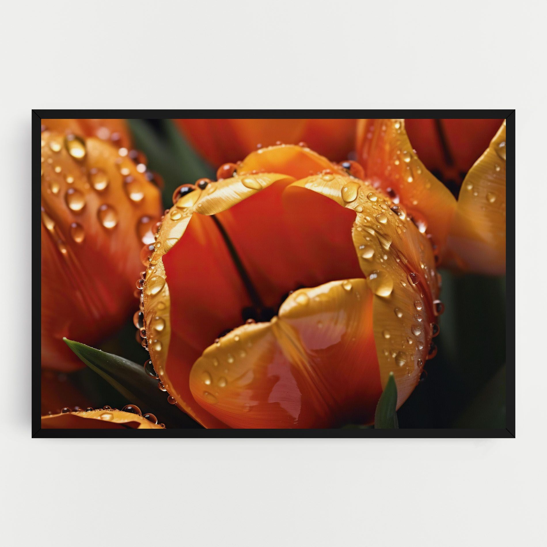 Orange Tulip Water Drops mockup 0