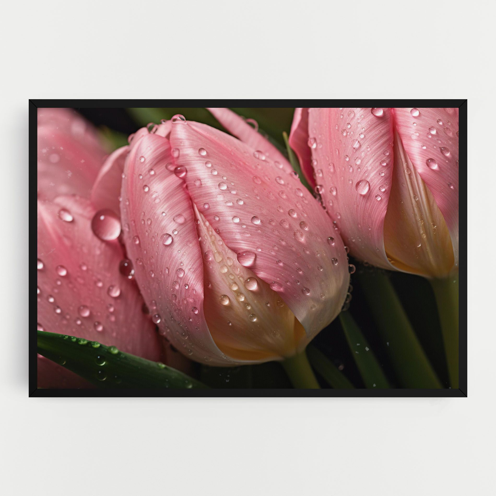 Pink Tulip With Drops mockup 0
