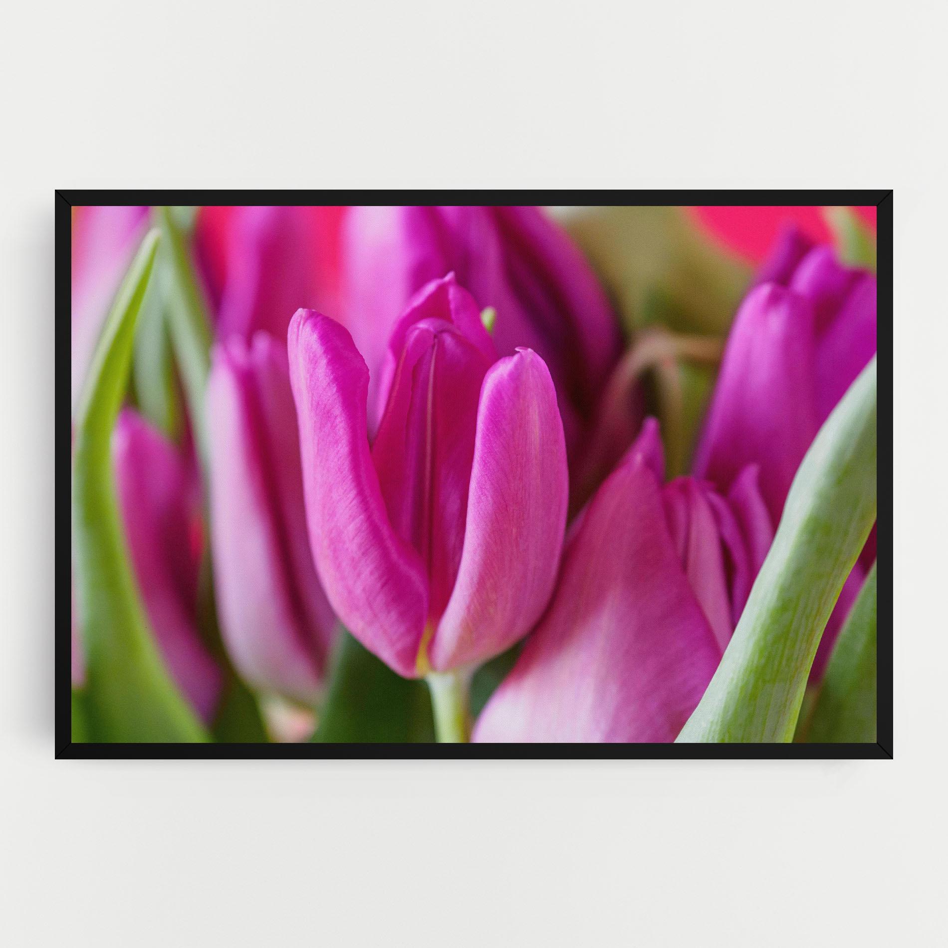 Leinwandbild Purple Tulip Close Up mockup 0