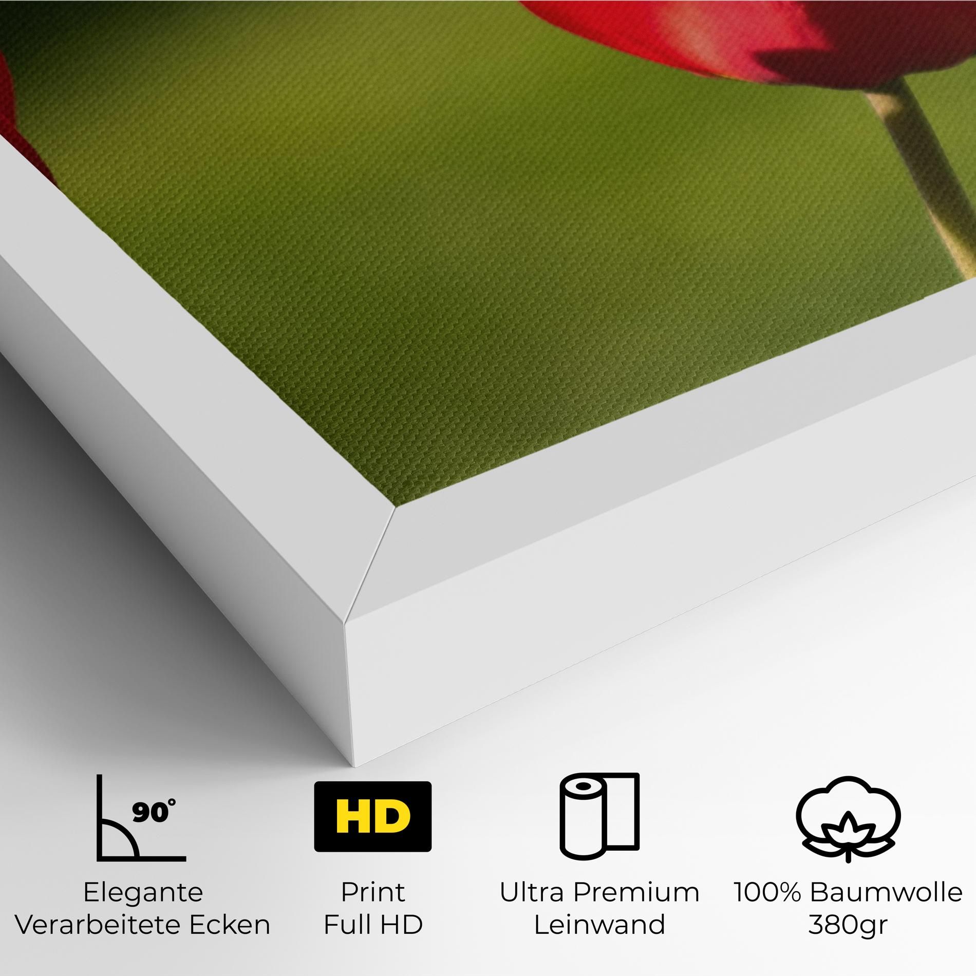 3 Red Tulips mockup 4