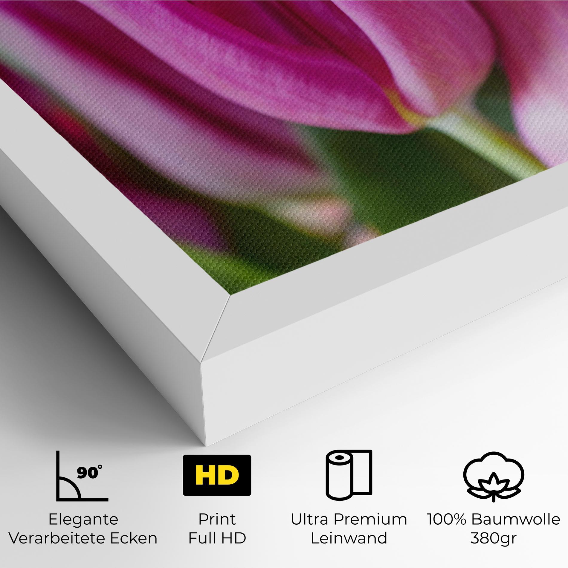 Leinwandbild Purple Tulip Close Up mockup 4