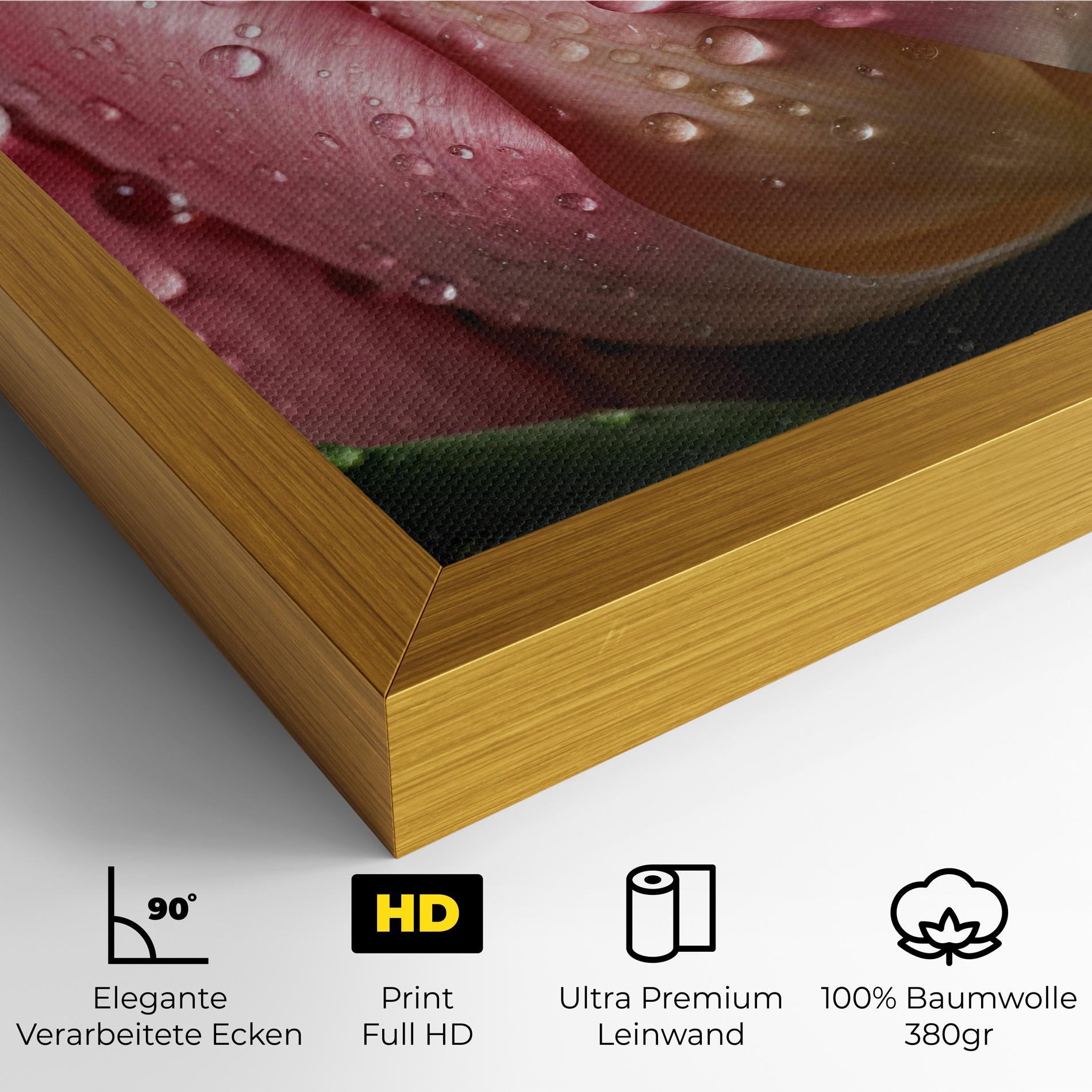 Leinwandbild Pink Tulip With Drops mockup 4