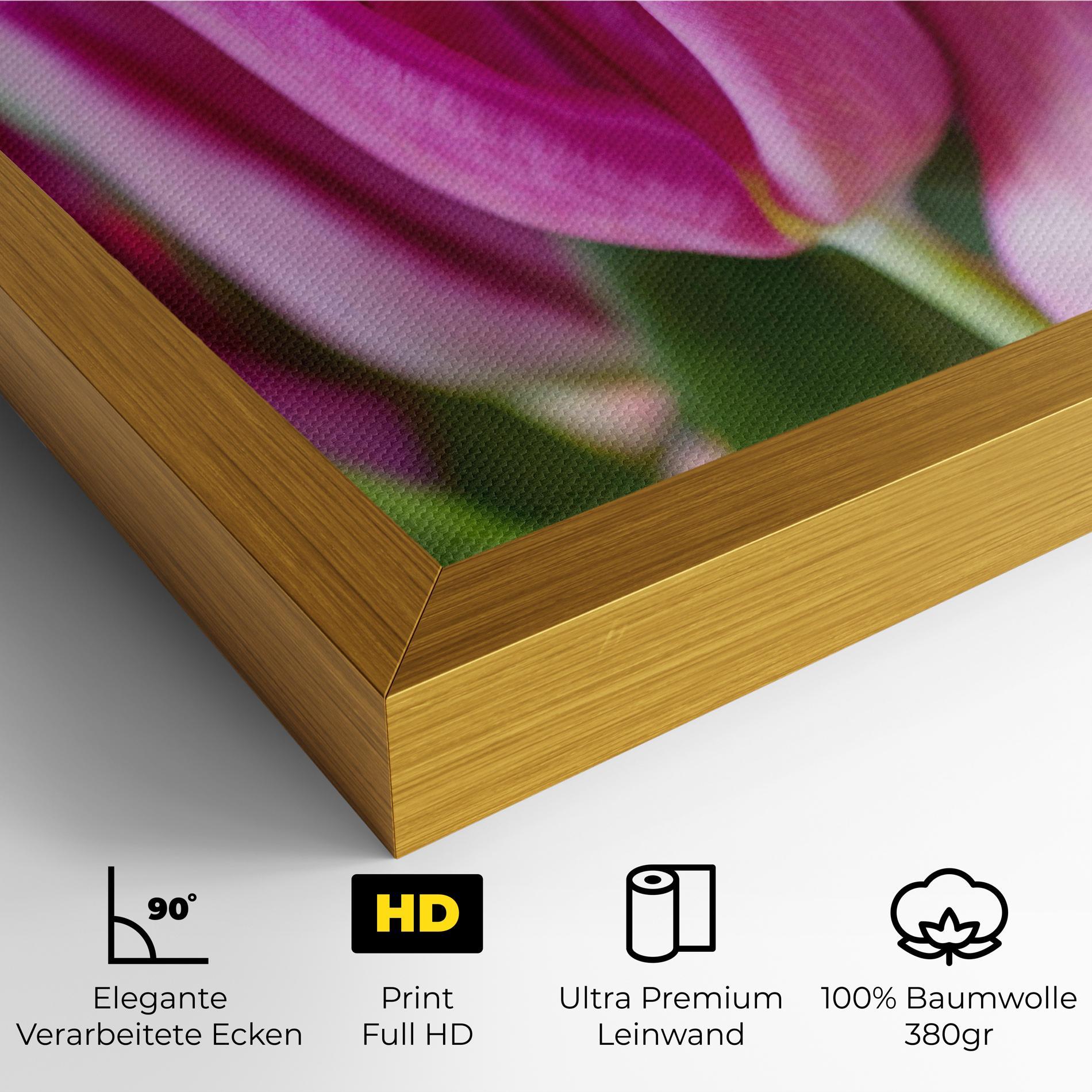 Leinwandbild Purple Tulip Close Up mockup 4