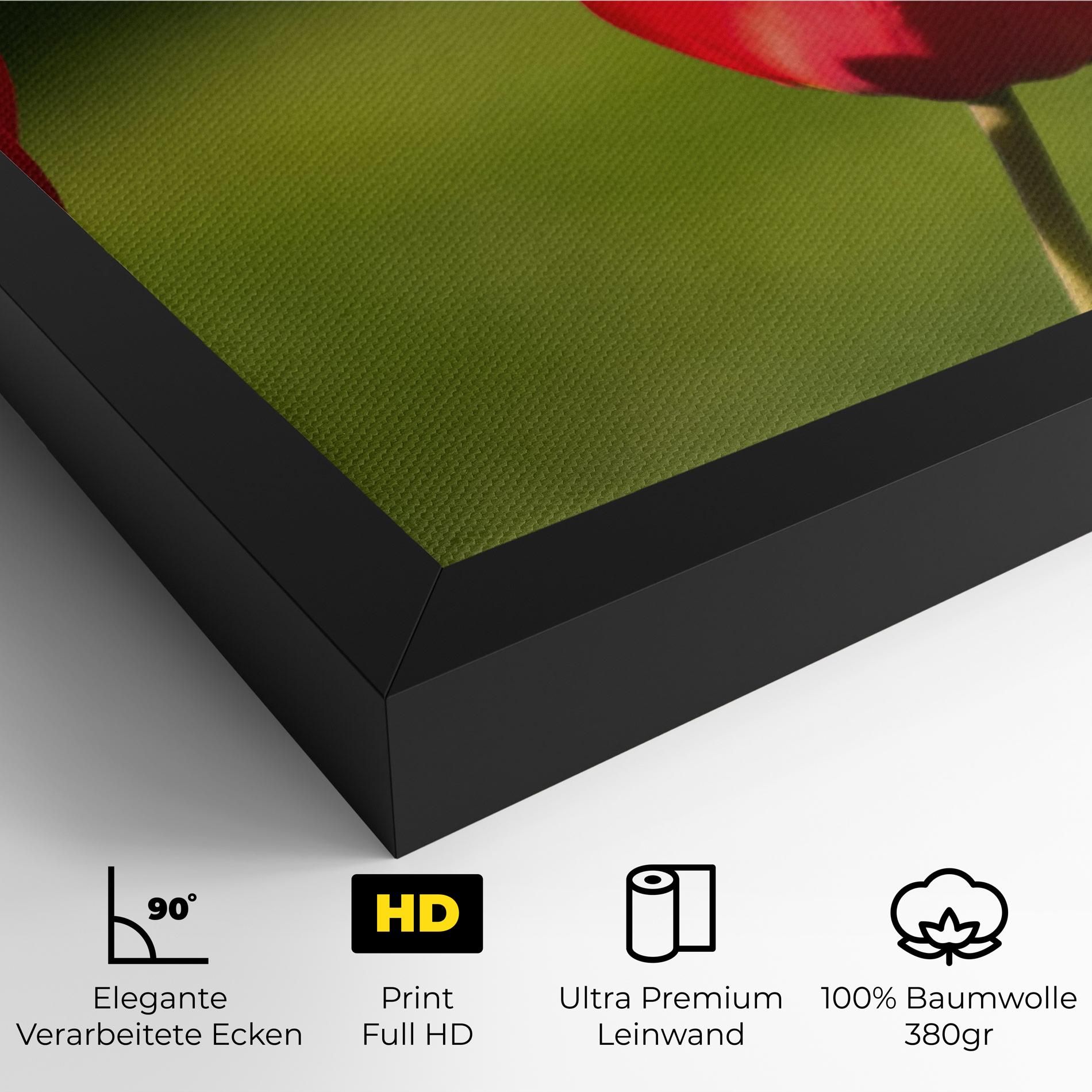 3 Red Tulips mockup 4