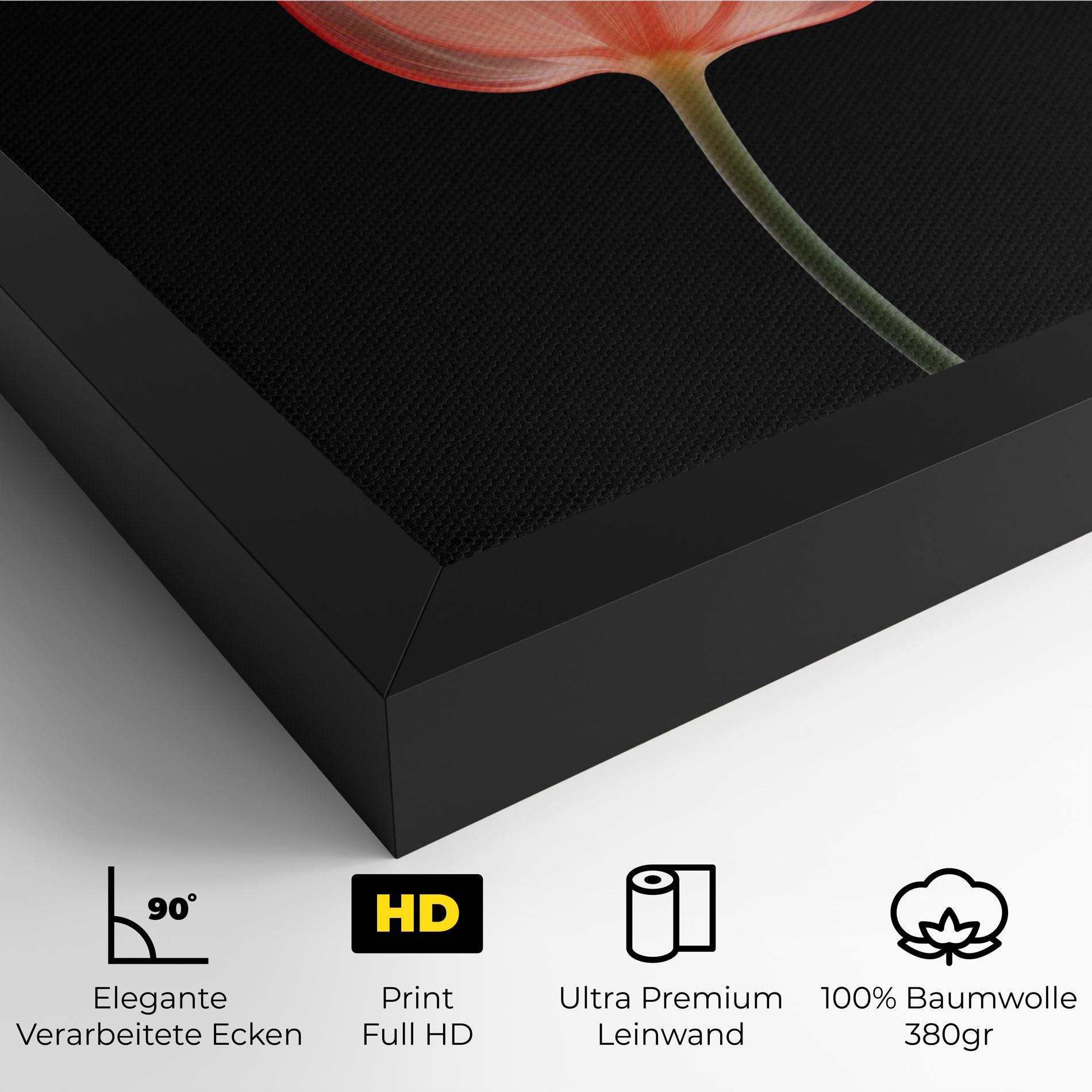 Leinwandbild Pastel Pink Tulip mockup 4