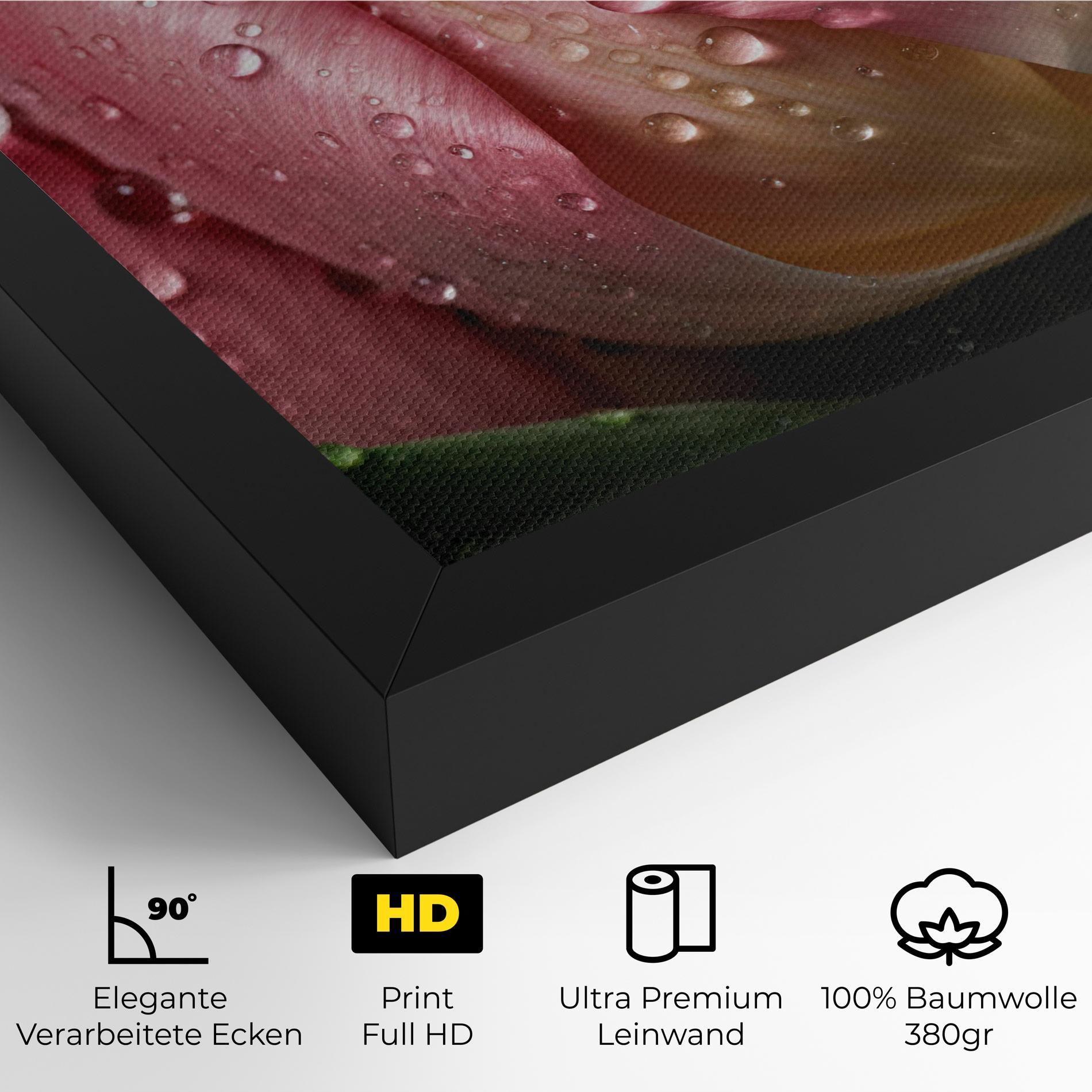Leinwandbild Pink Tulip With Drops mockup 4