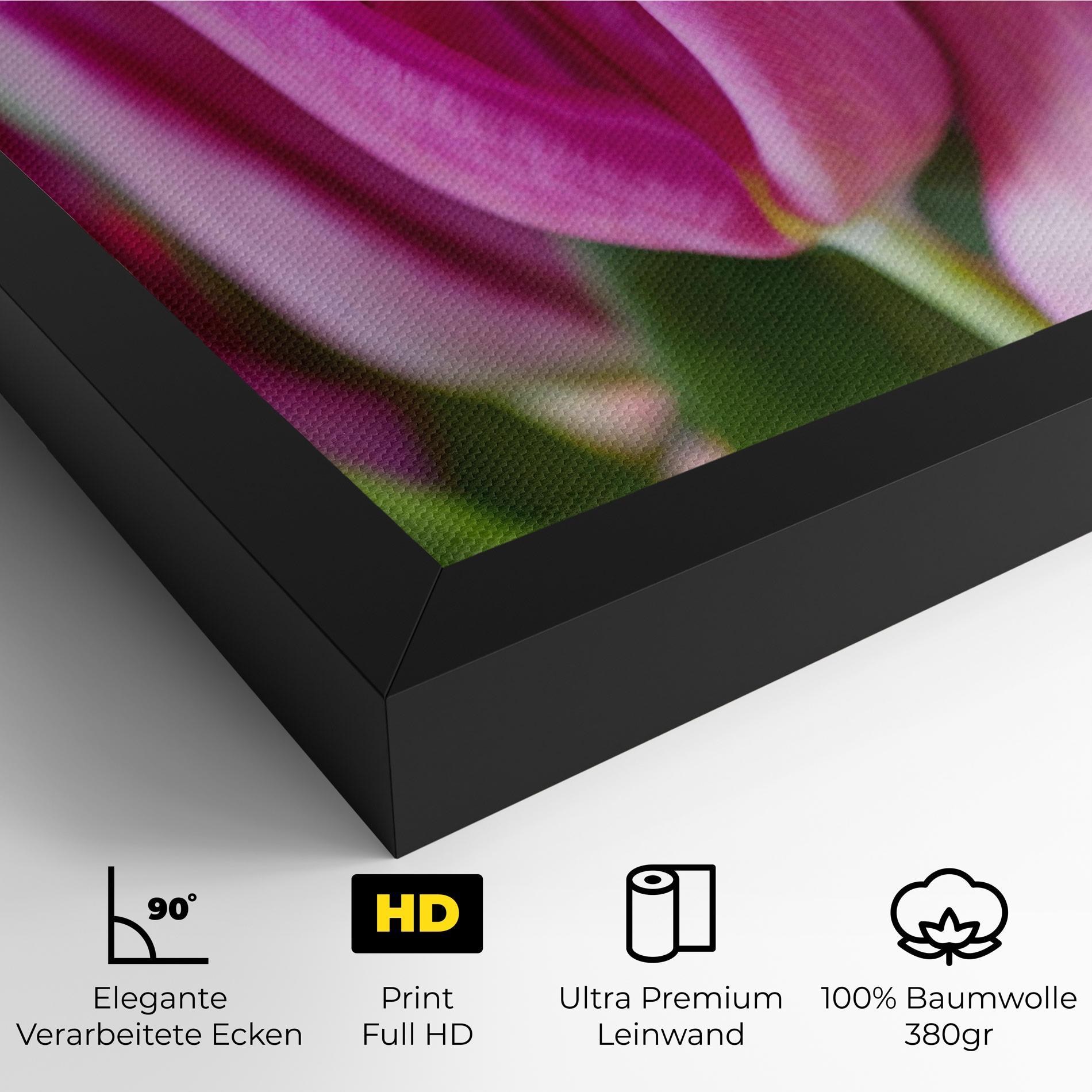 Leinwandbild Purple Tulip Close Up mockup 4