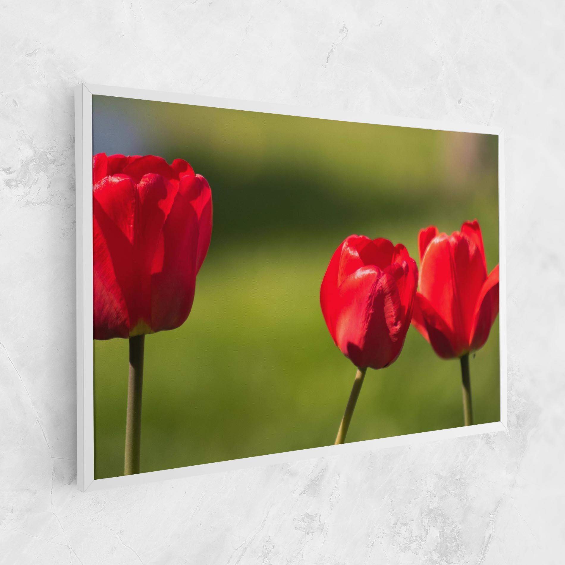 Leinwandbild 3 Red Tulips mockup 1