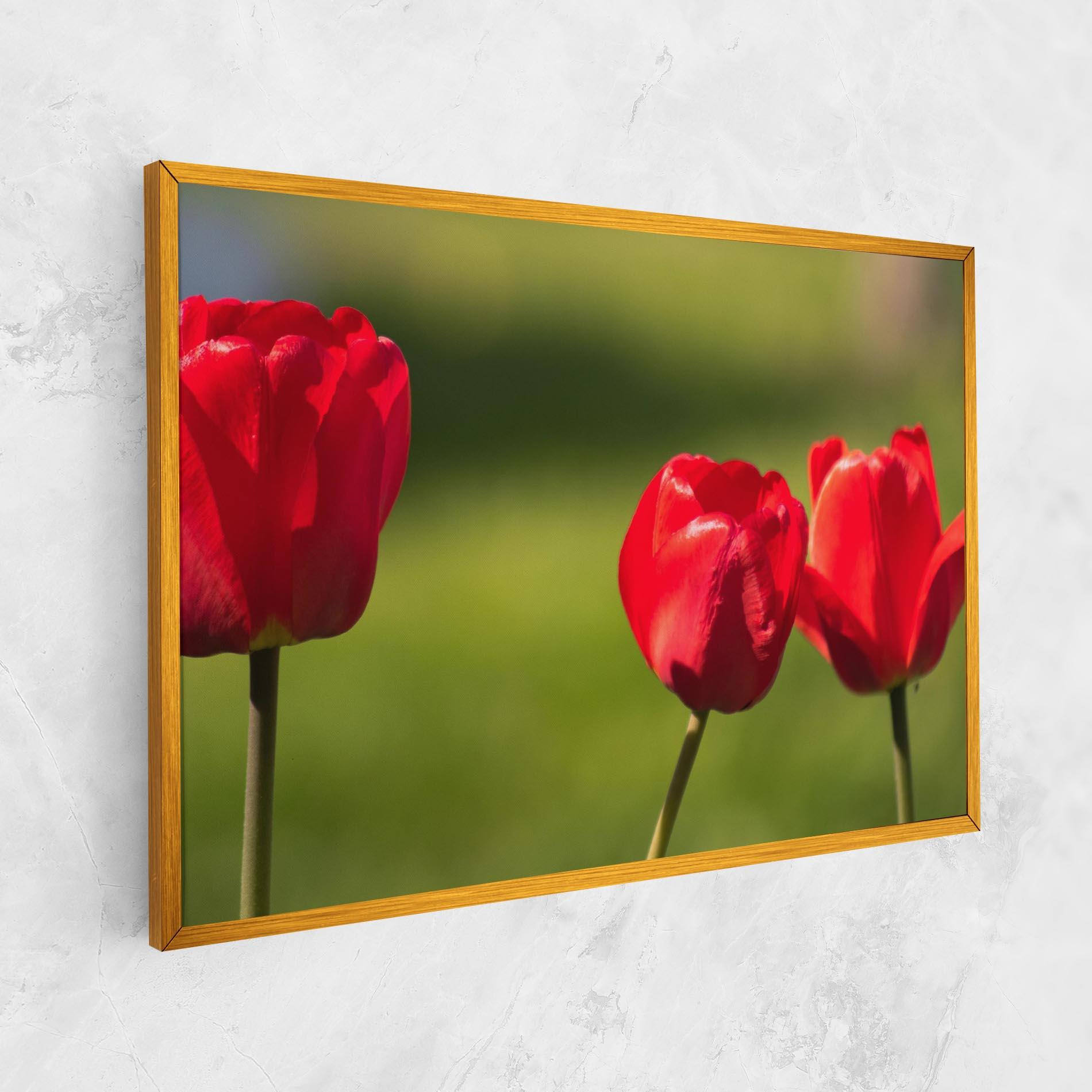 Leinwandbild 3 Red Tulips mockup 1