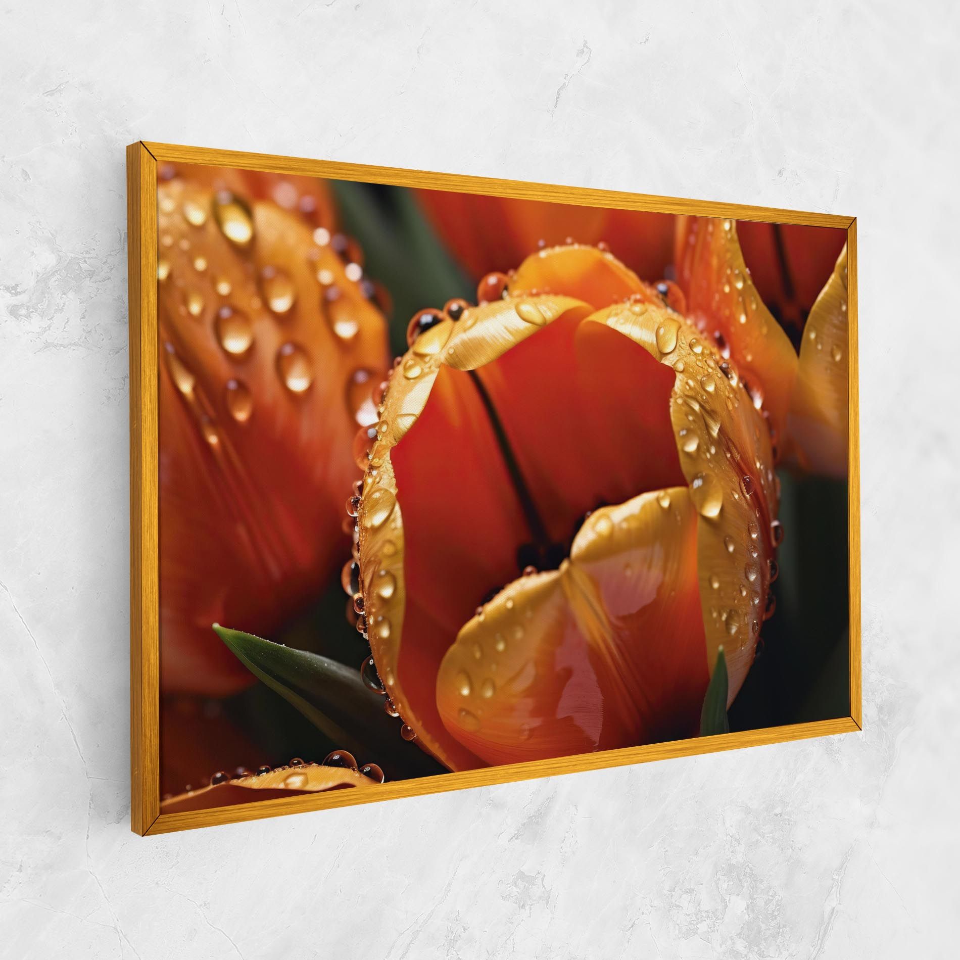 Orange Tulip Water Drops mockup 1