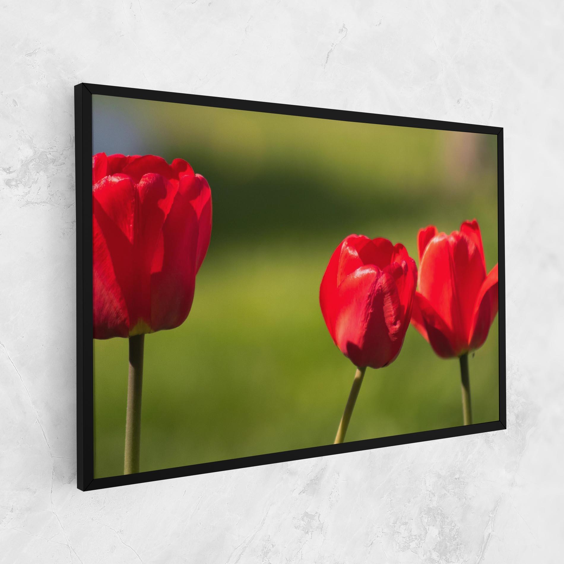 Leinwandbild 3 Red Tulips mockup 1