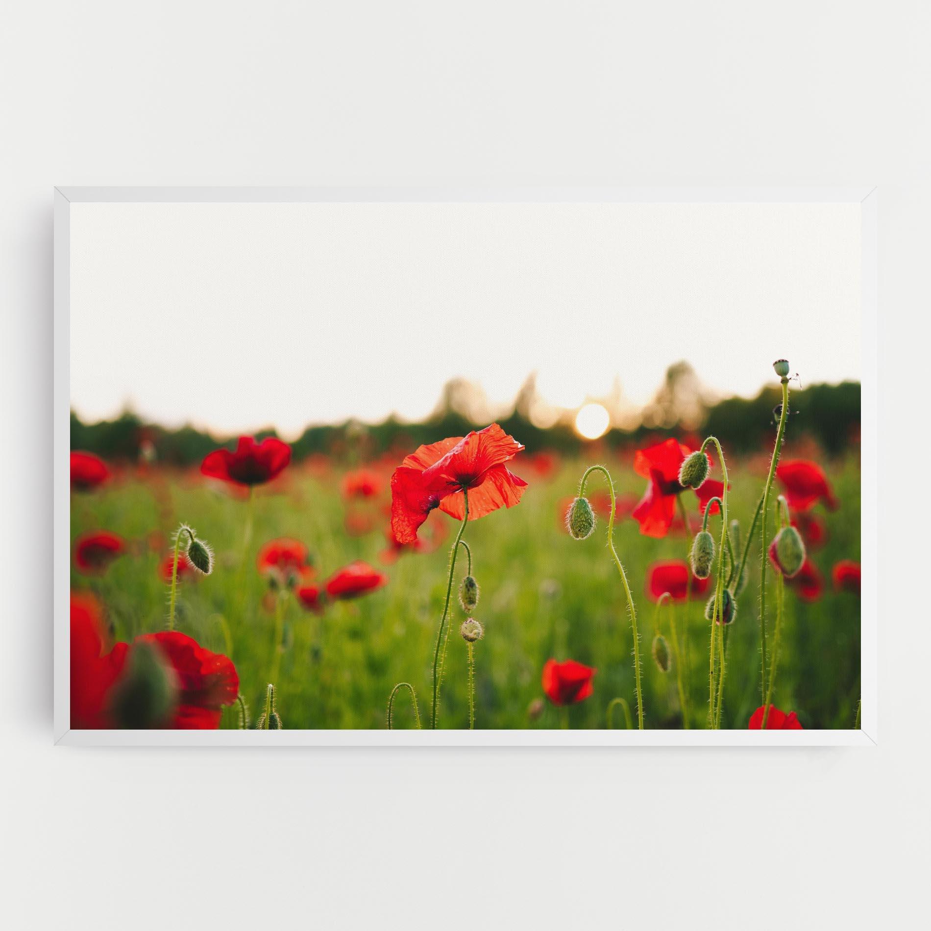 Leinwandbild Poppies Field mockup 0