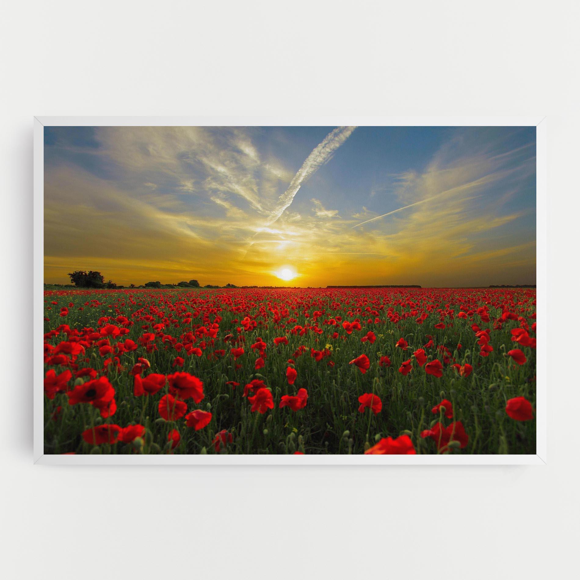 Leinwandbild Poppies Sunset mockup 0