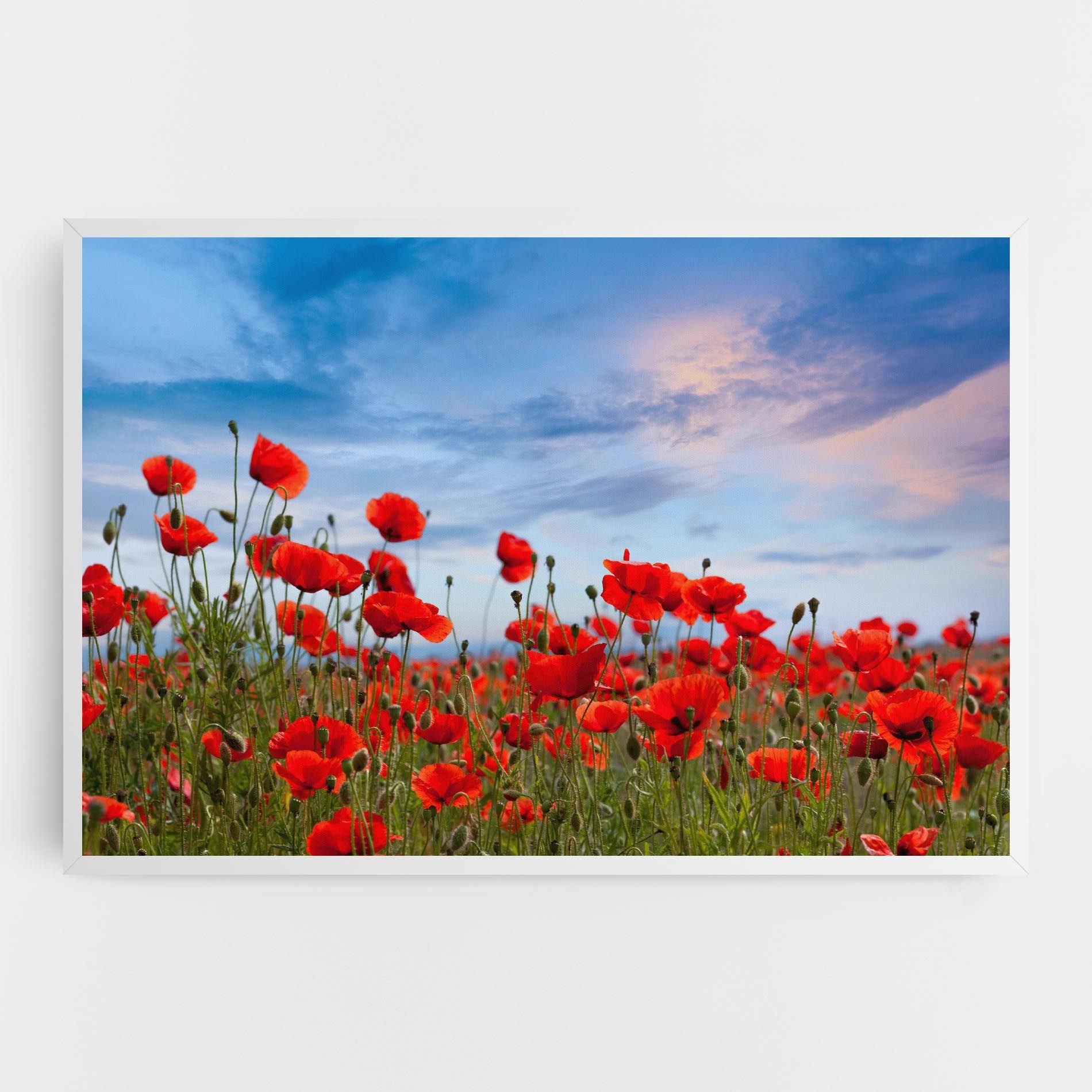 Poppy Field mockup 0