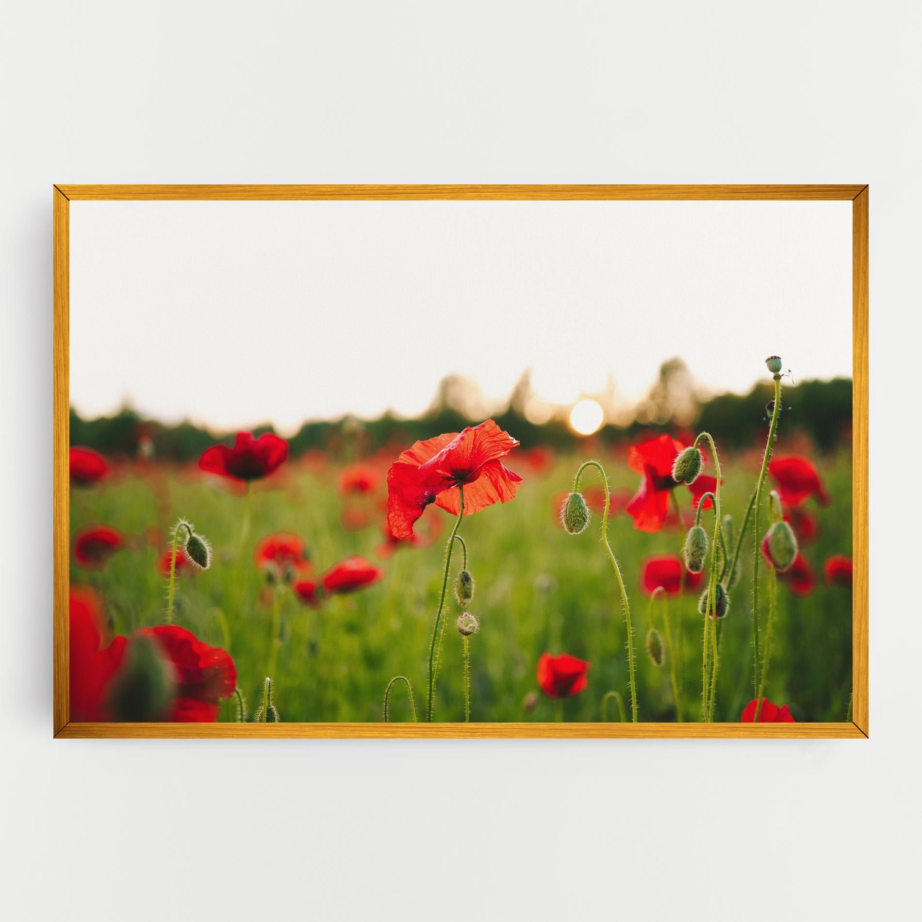 Poppies Field mockup 0