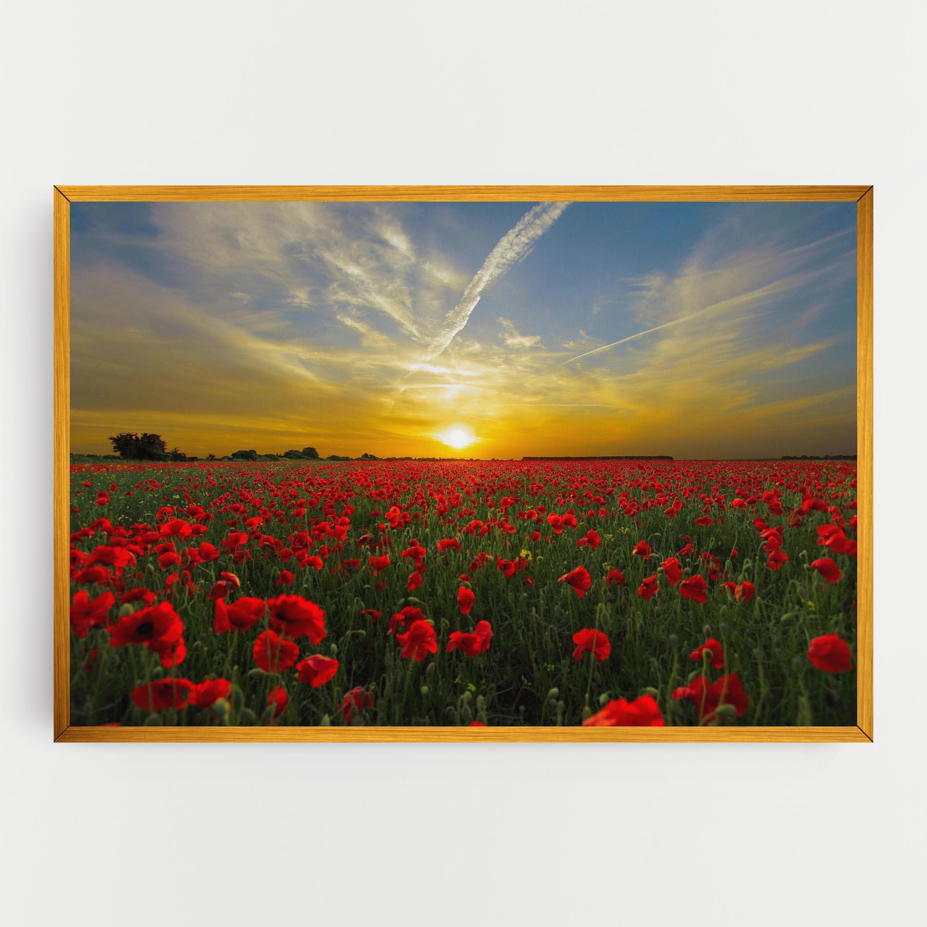 Leinwandbild Poppies Sunset mockup 0