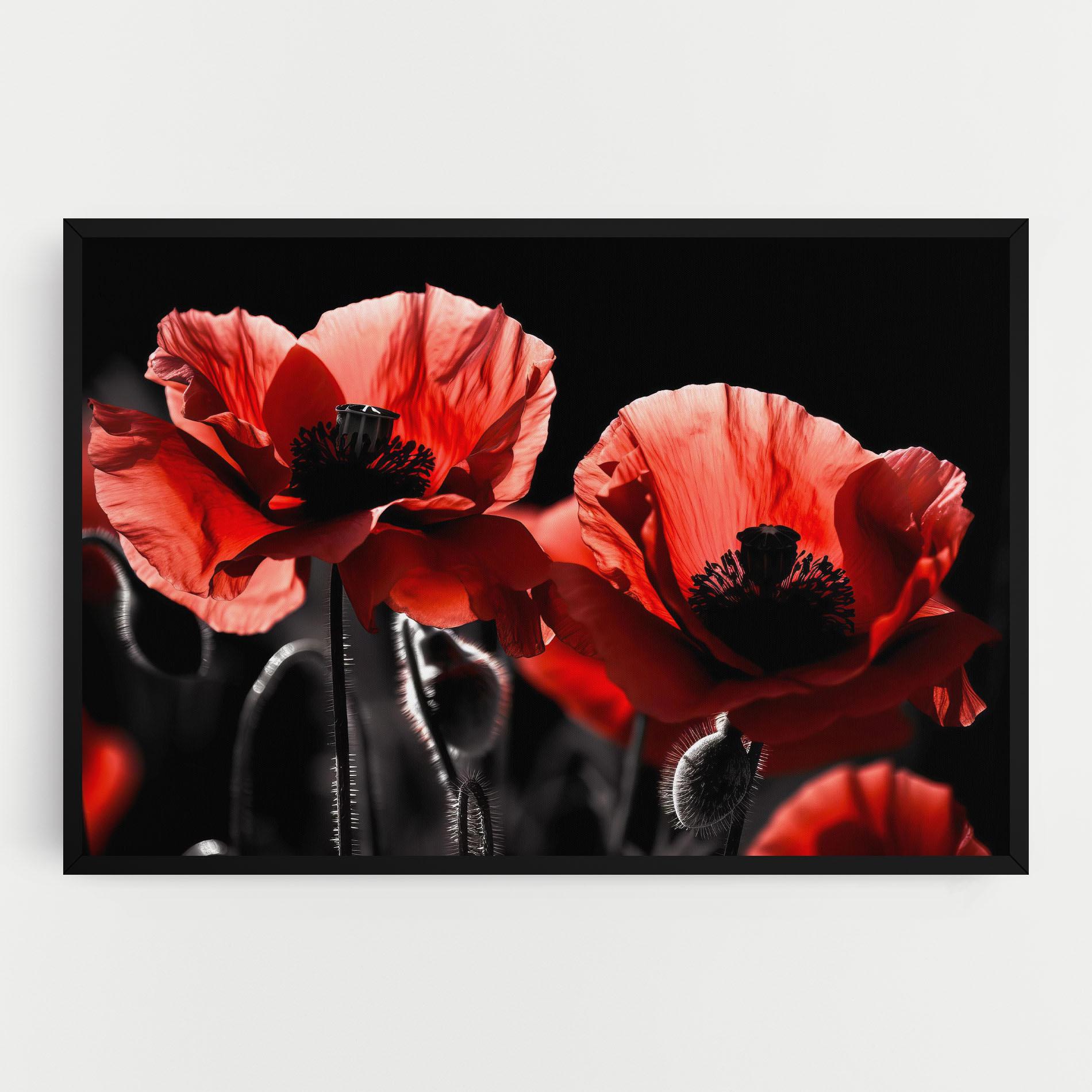 Leinwandbild Light Red Poppy On Black mockup 0