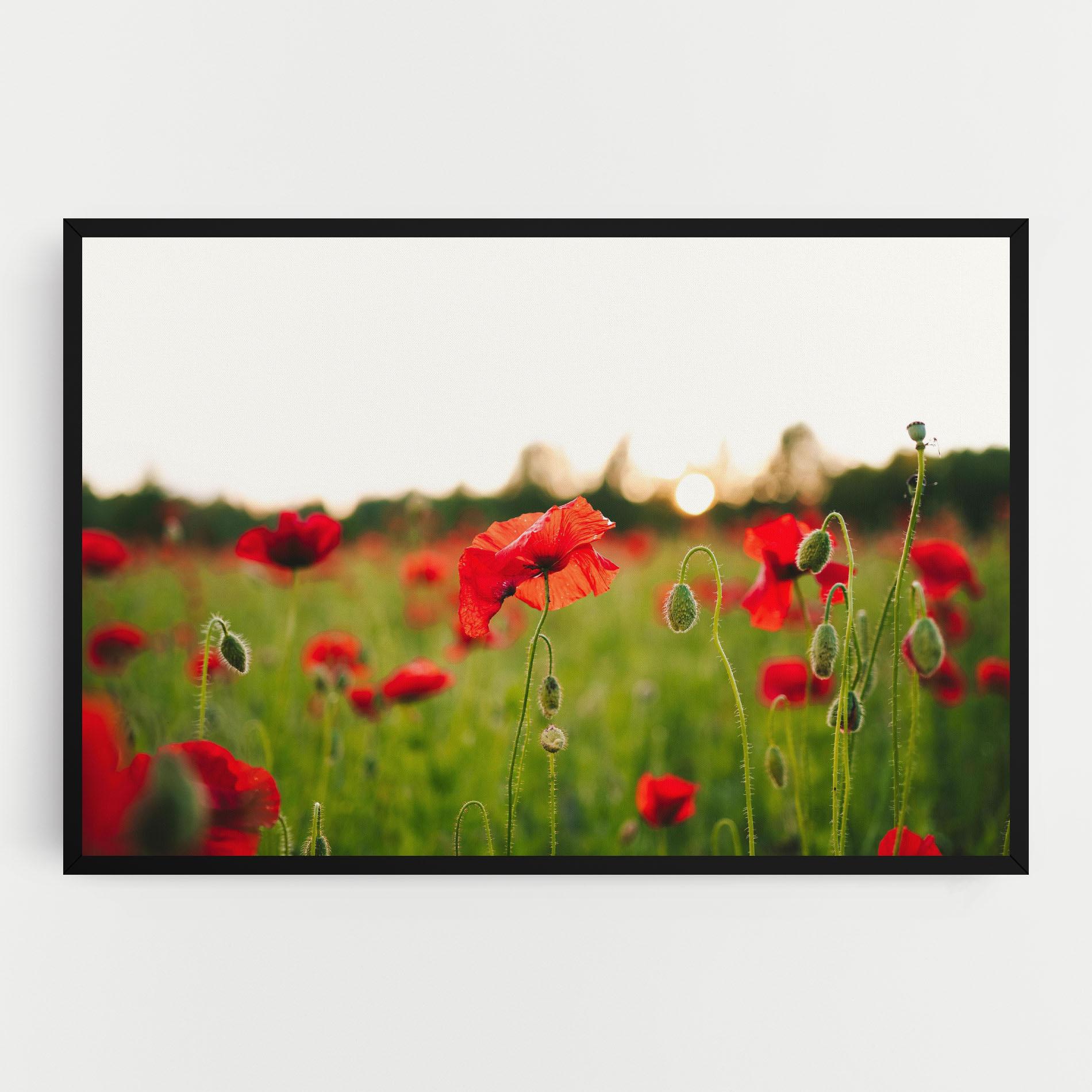 Leinwandbild Poppies Field mockup 0