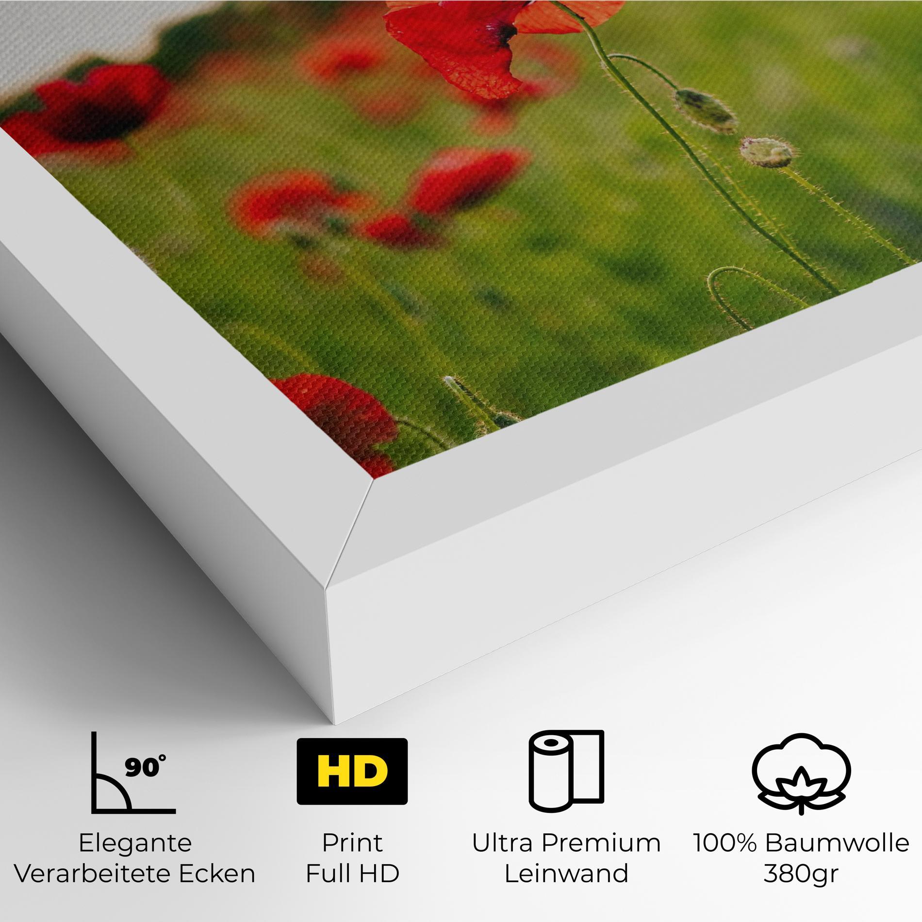 Leinwandbild Poppies Field mockup 4