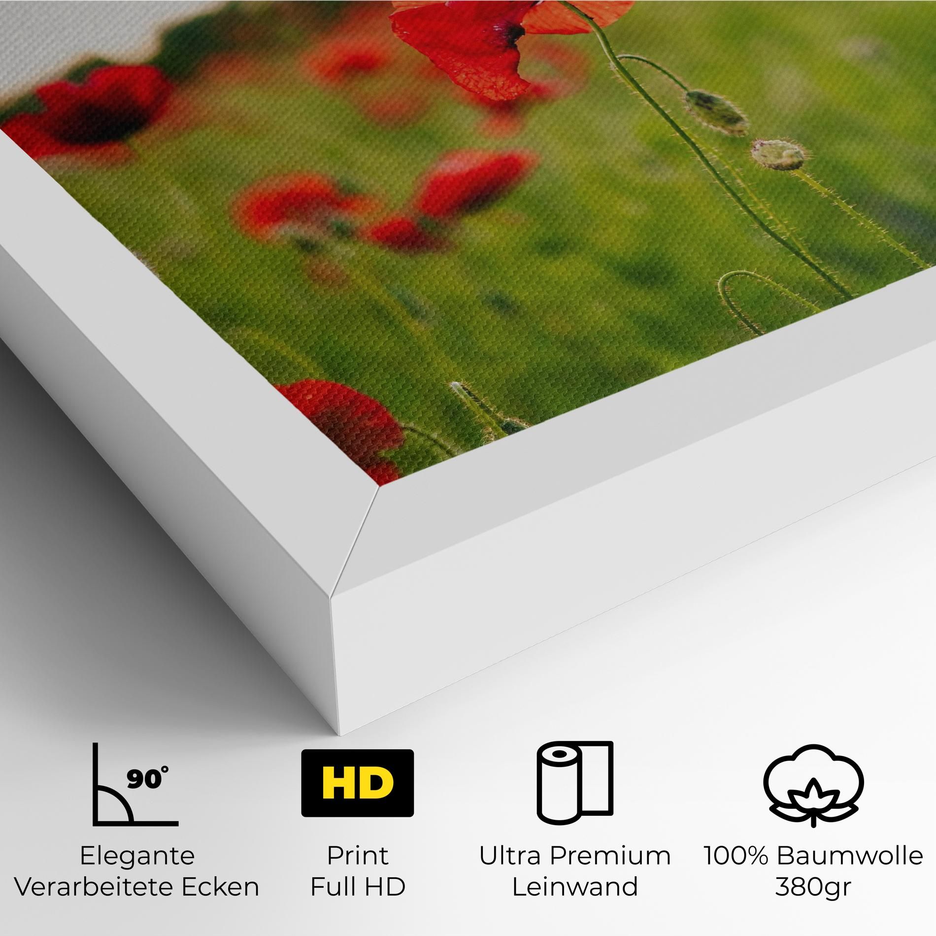 Poppies Field mockup 4