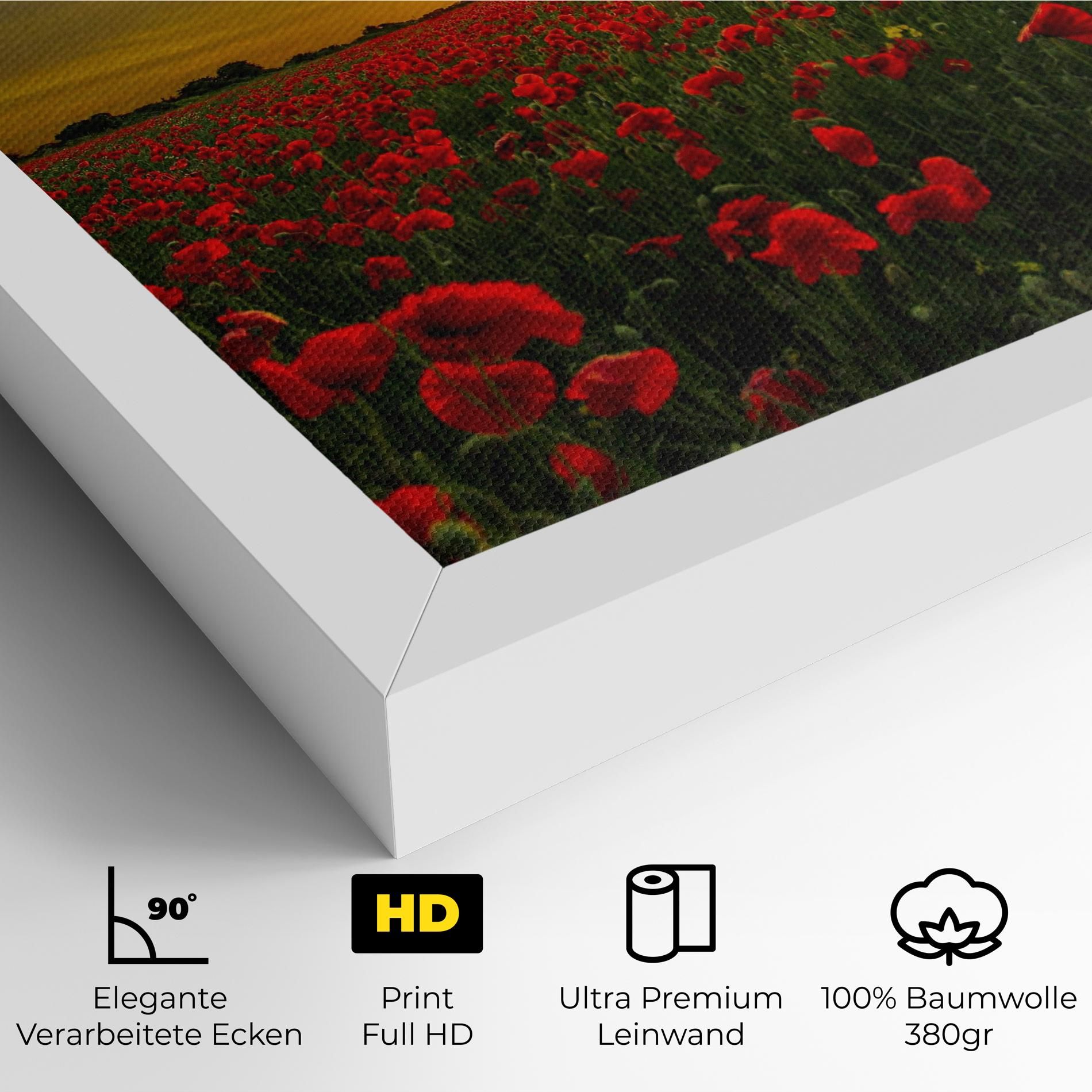 Poppies Sunset mockup 4