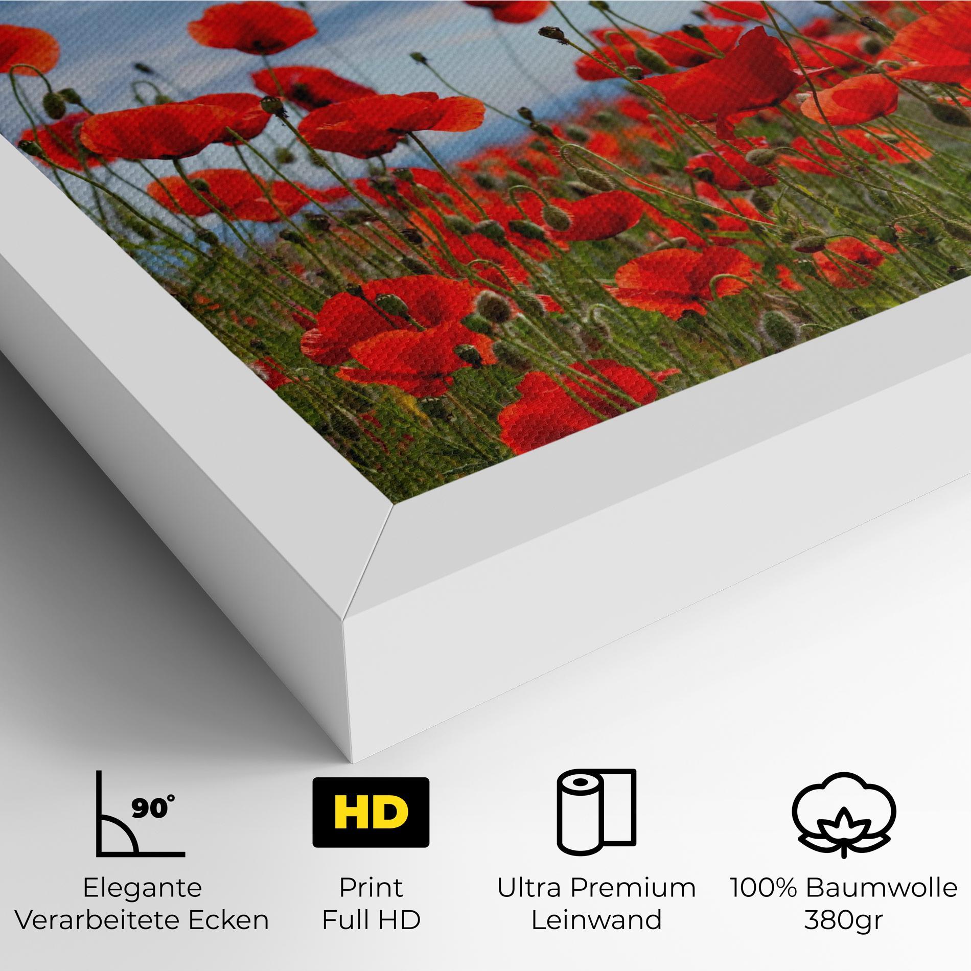 Leinwandbild Poppy Field mockup 4