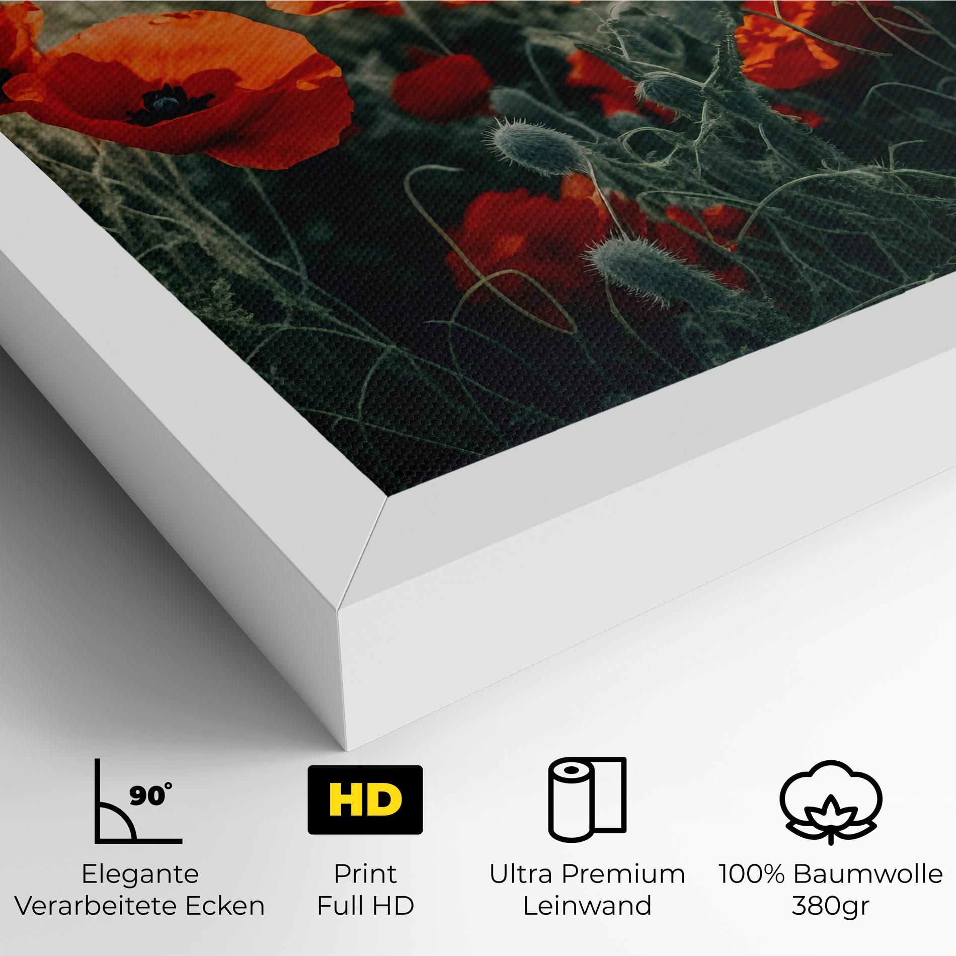 Poppy Grass Field mockup 4