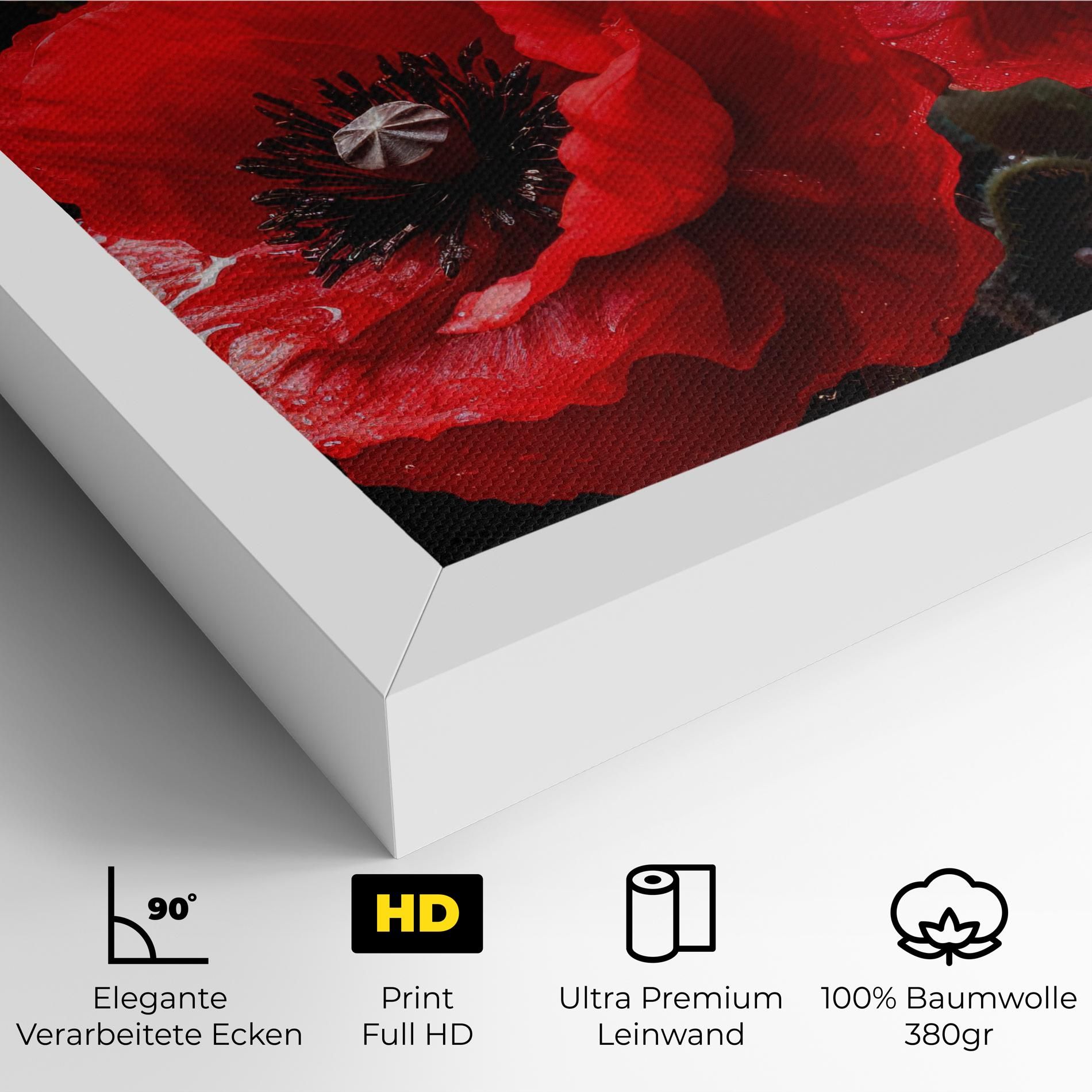 Red Poppy mockup 4