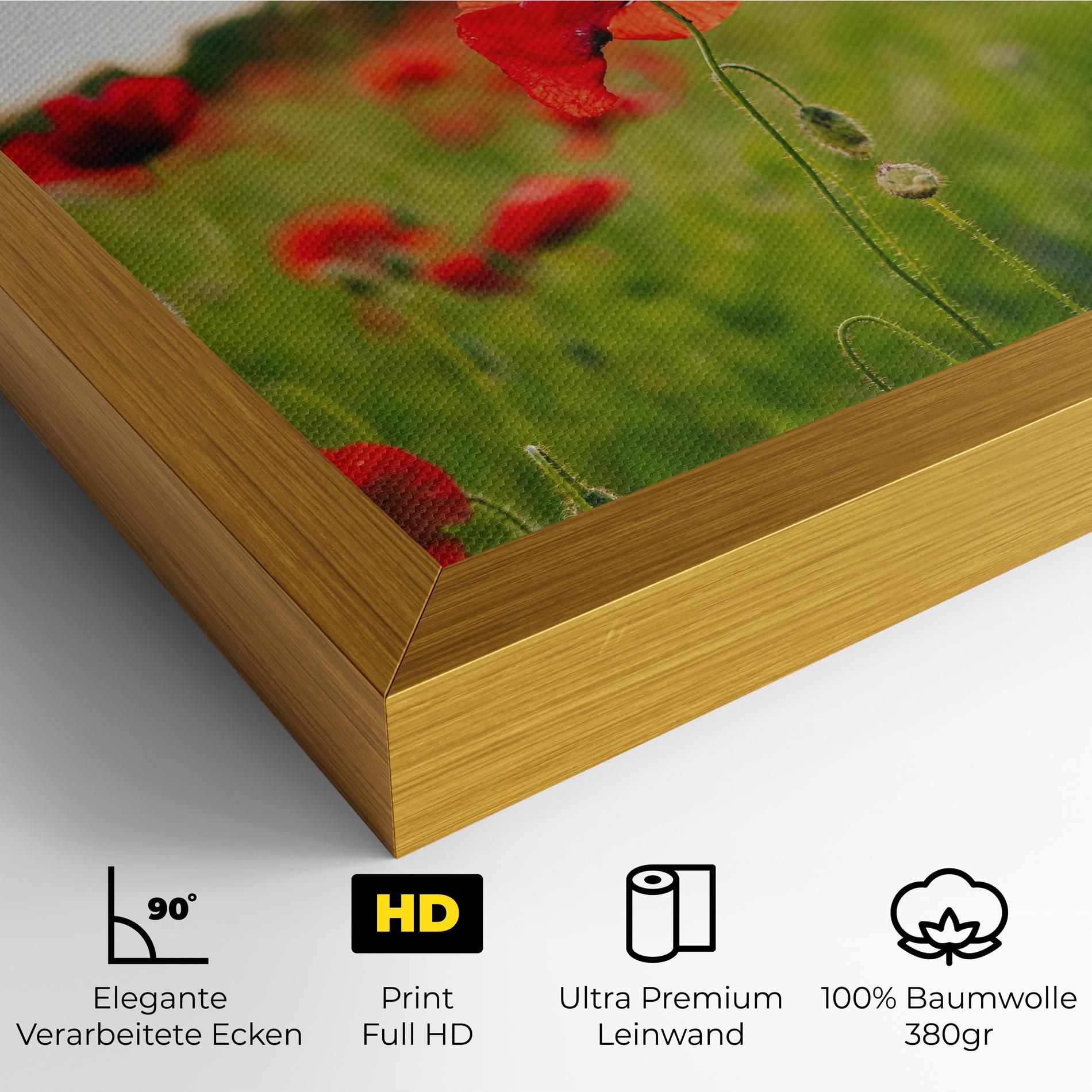 Poppies Field mockup 4