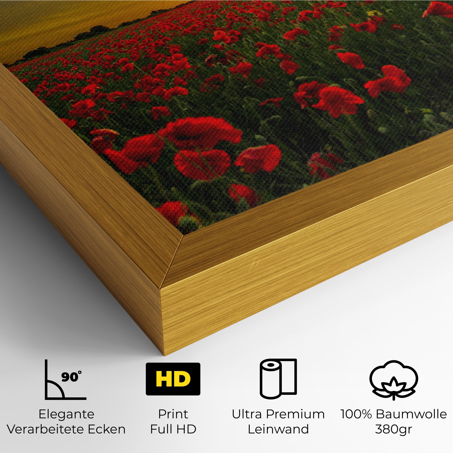 Leinwandbild Poppies Sunset mockup 4