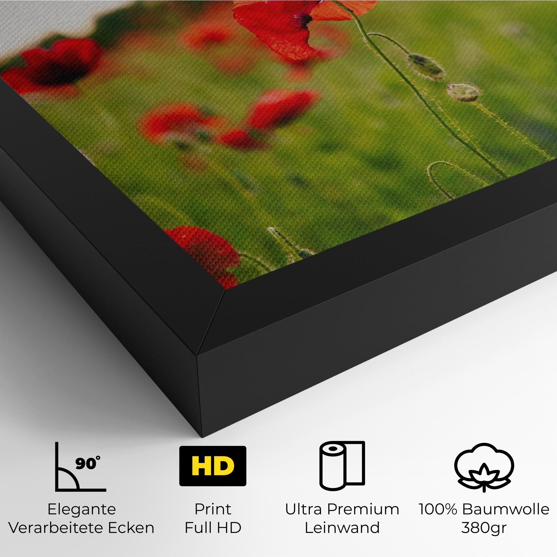 Poppies Field mockup 4