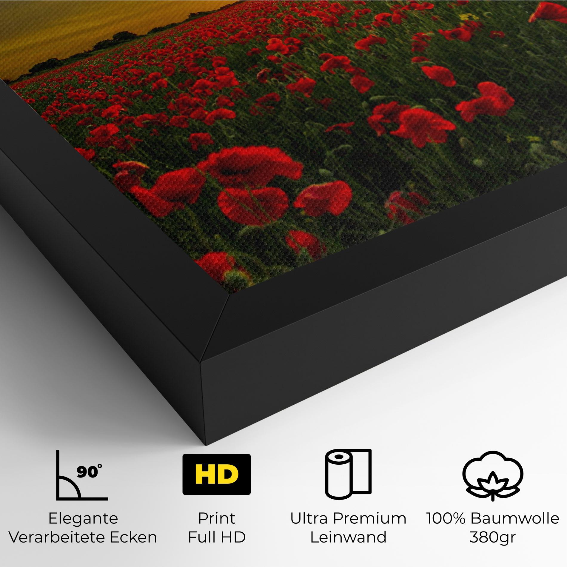 Leinwandbild Poppies Sunset mockup 4