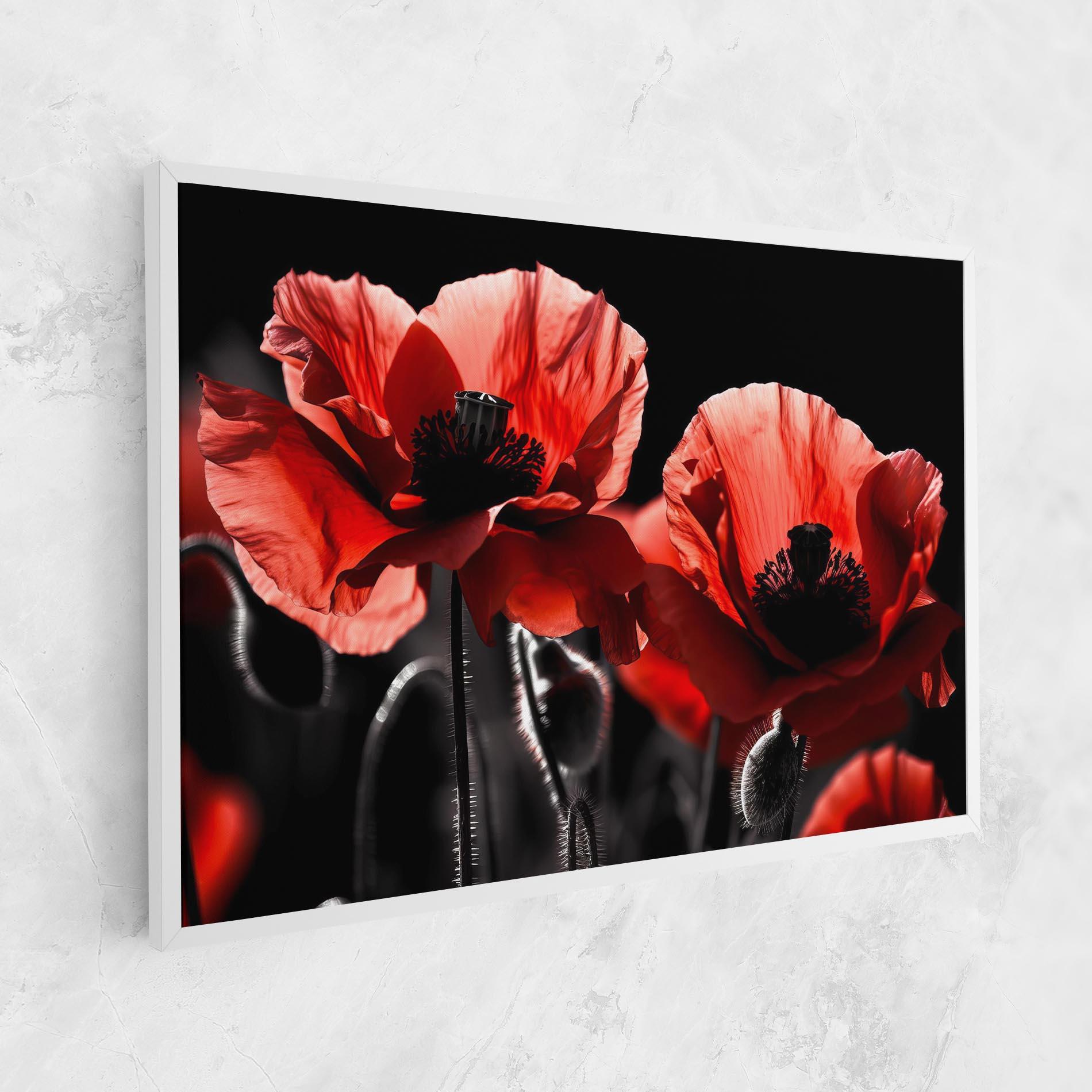 Leinwandbild Light Red Poppy On Black mockup 1